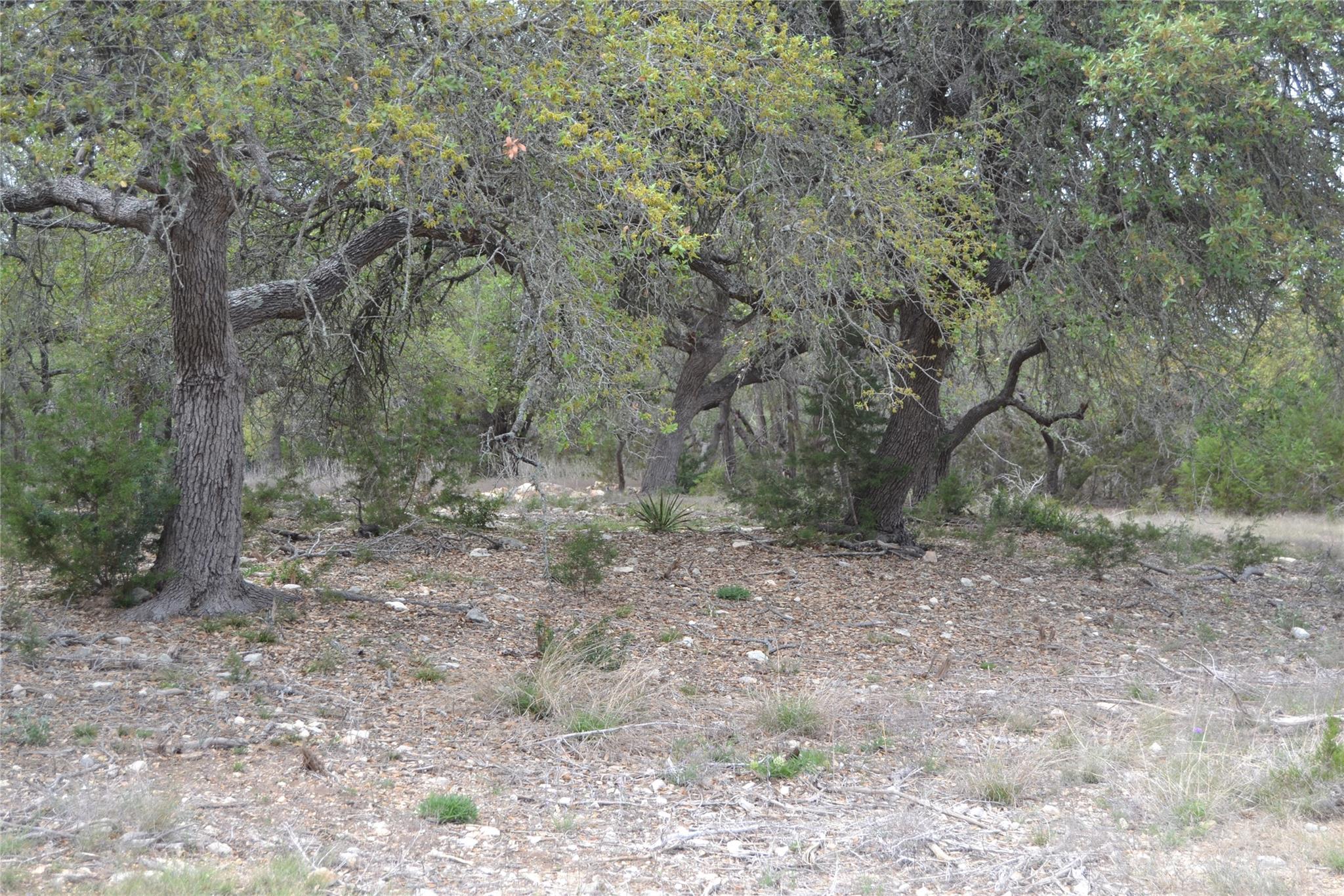 4016 McGregor Ln, Dripping Springs, TX 78620