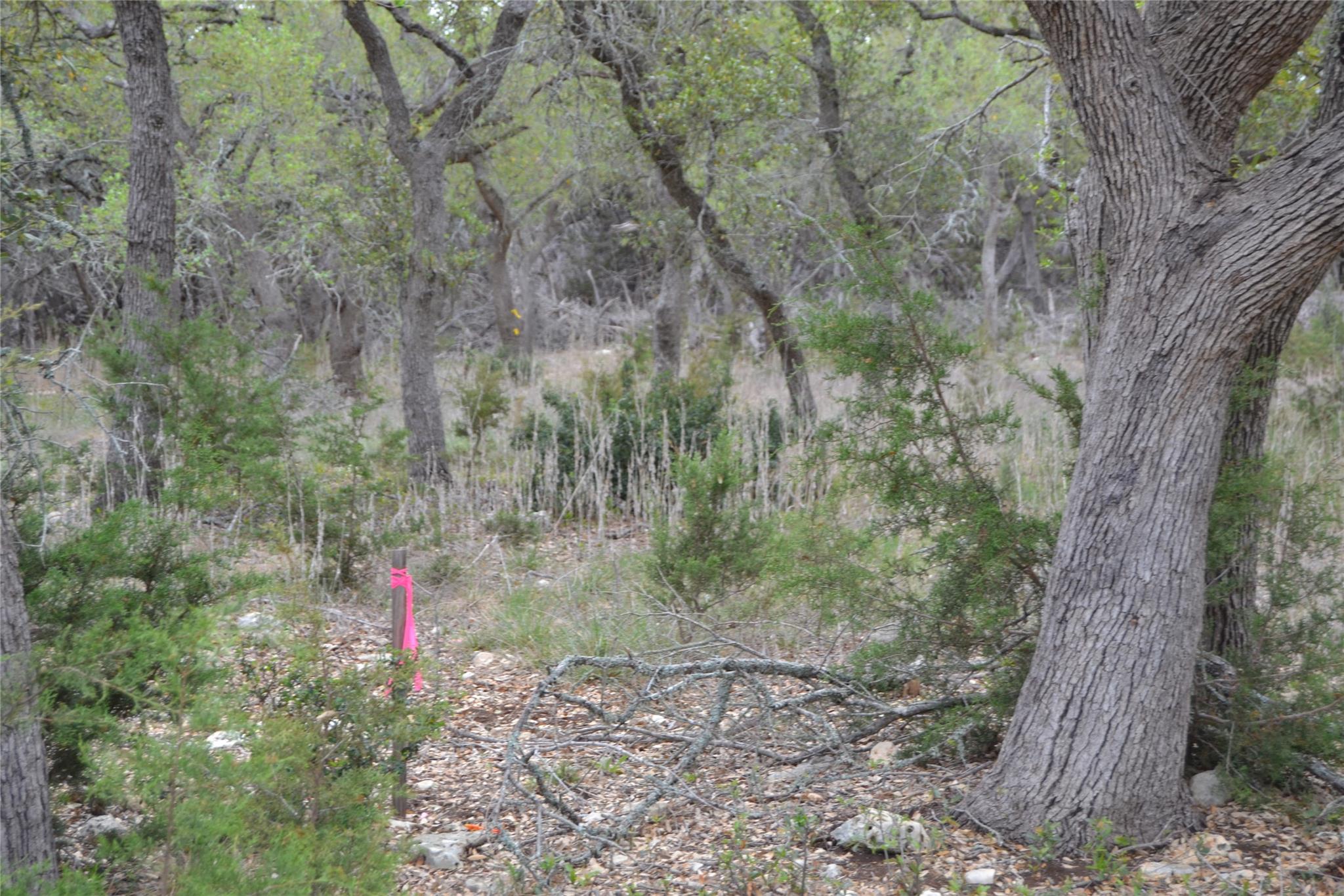 4016 McGregor Ln, Dripping Springs, TX 78620