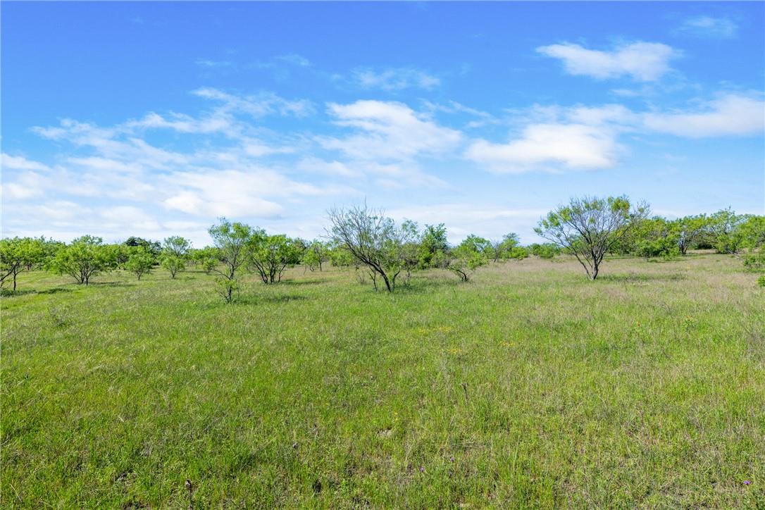 TBD County Road 236, Liberty Hill, TX 78605