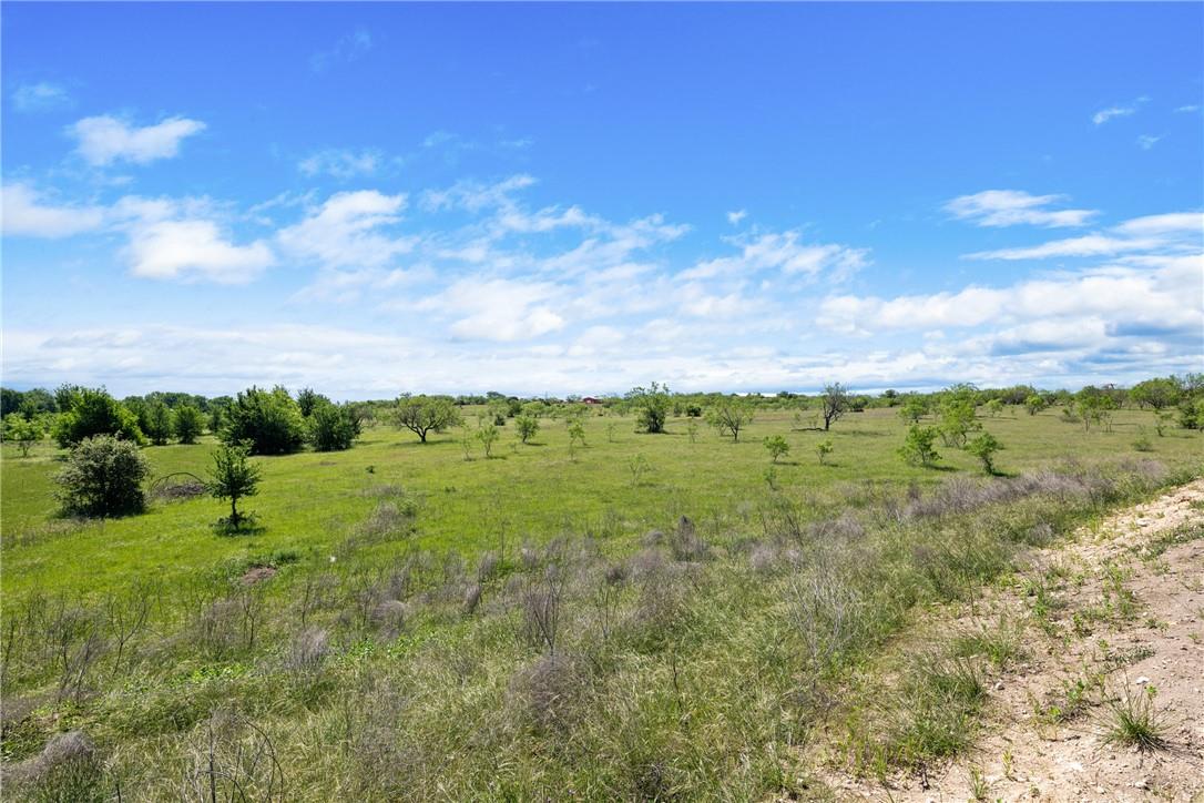 TBD County Road 236, Liberty Hill, TX 78605
