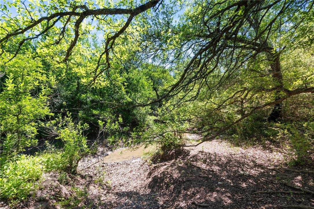 TBD County Road 236, Liberty Hill, TX 78605