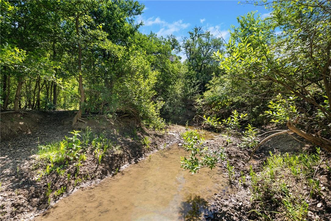 TBD County Road 236, Liberty Hill, TX 78605