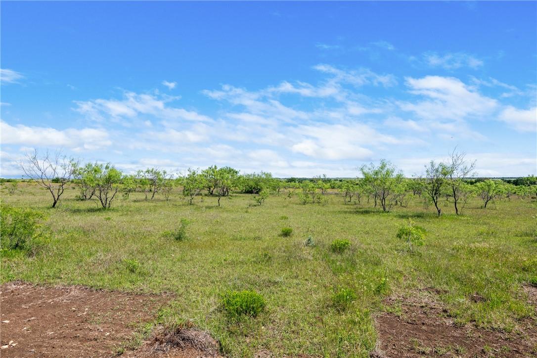 TBD County Road 236, Liberty Hill, TX 78605