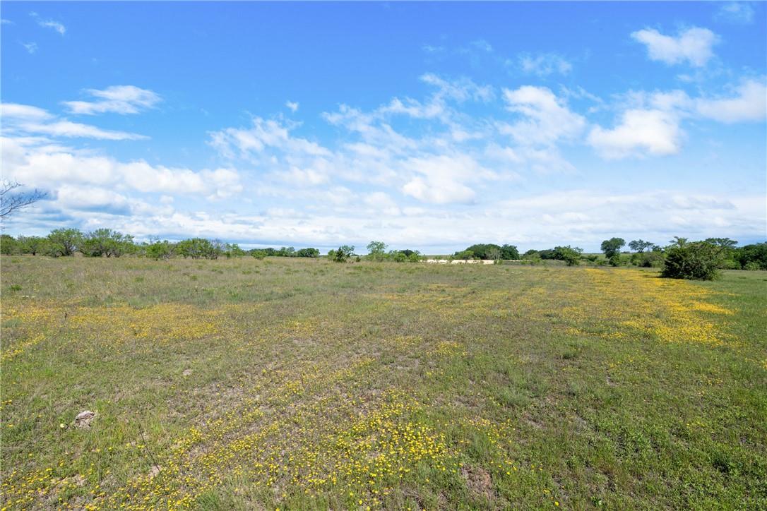 TBD County Road 236, Liberty Hill, TX 78605