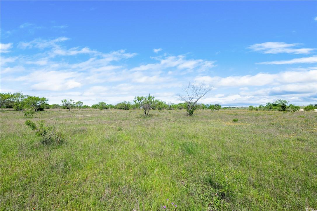 TBD County Road 236, Liberty Hill, TX 78605