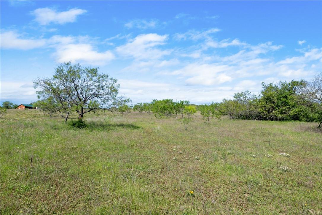 TBD County Road 236, Liberty Hill, TX 78605
