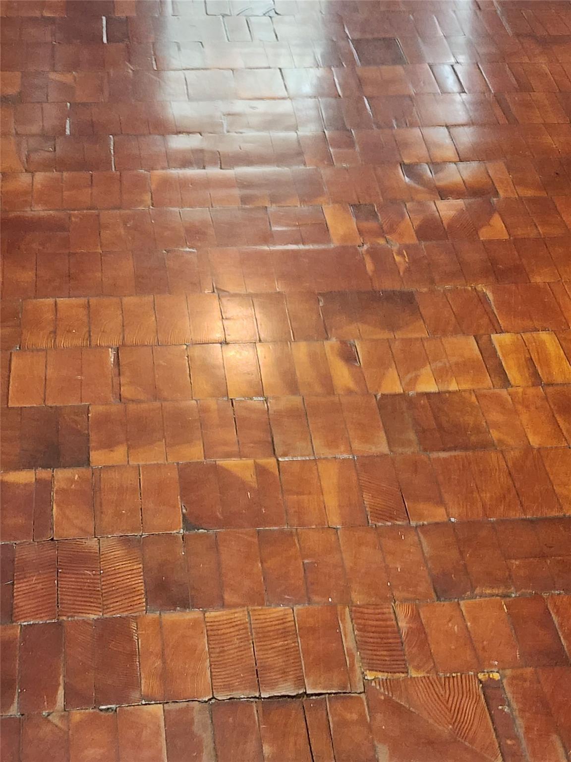 2005 Elysian Flds, Austin, TX 78727