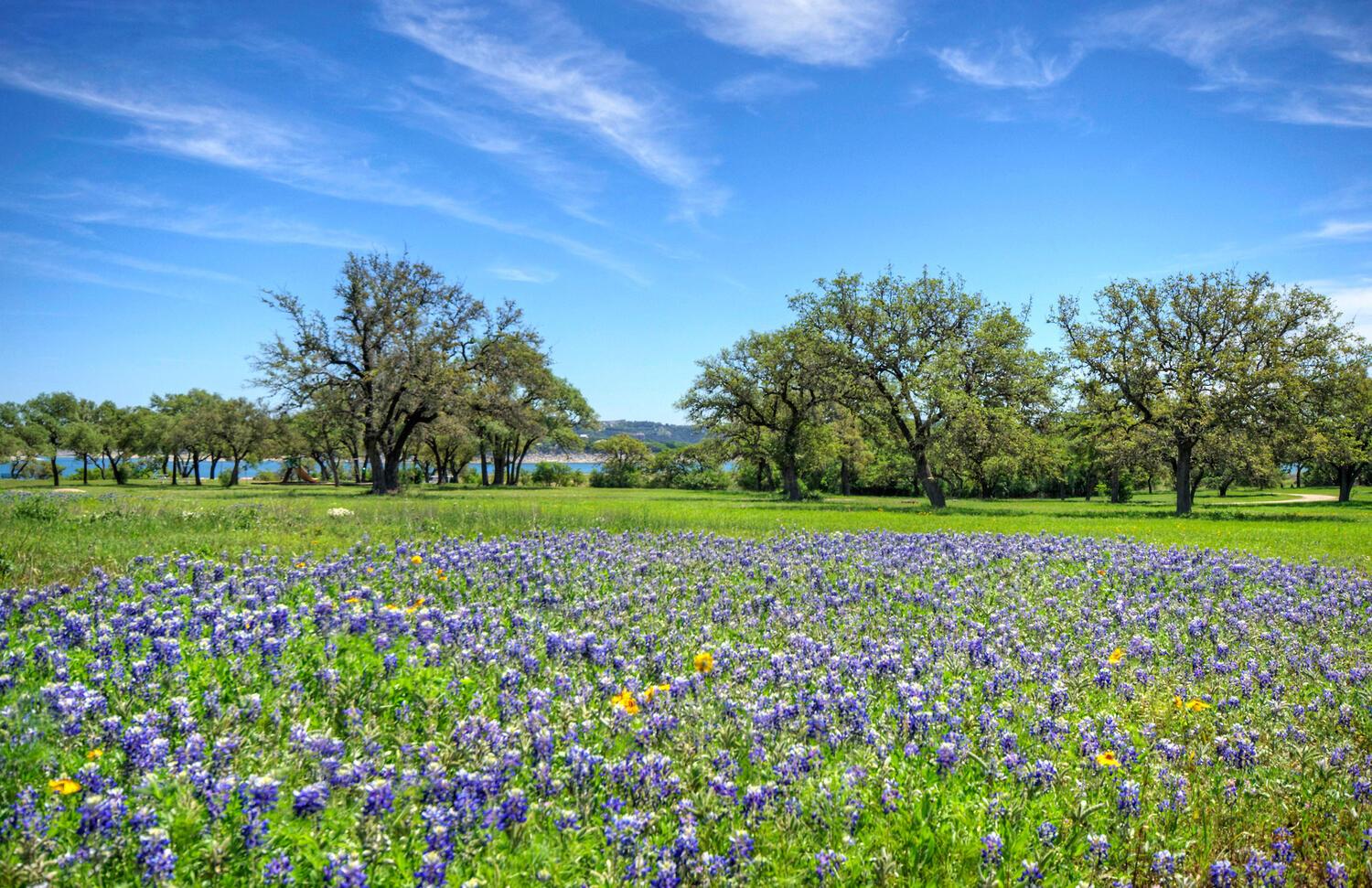 15205 Back Of The Moon St, Austin, TX 78734