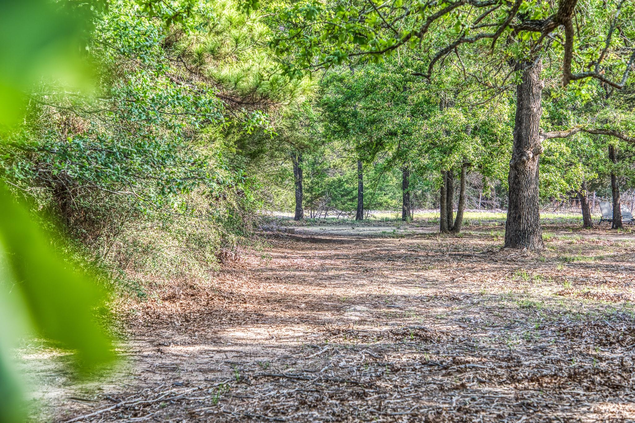 242 Cody Ln, Bastrop, TX 78602