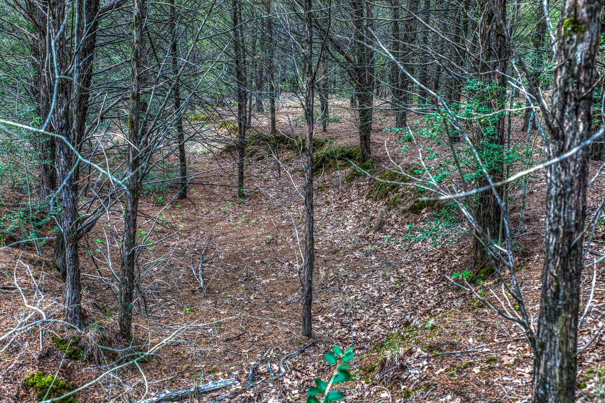 242 Cody Ln, Bastrop, TX 78602