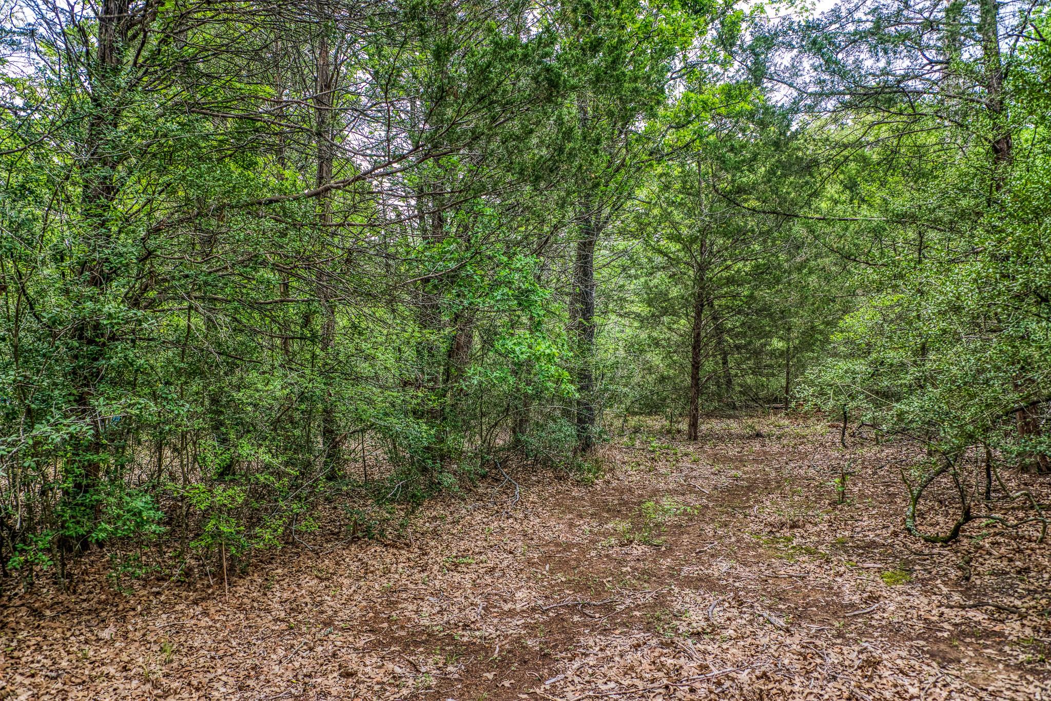 242 Cody Ln, Bastrop, TX 78602