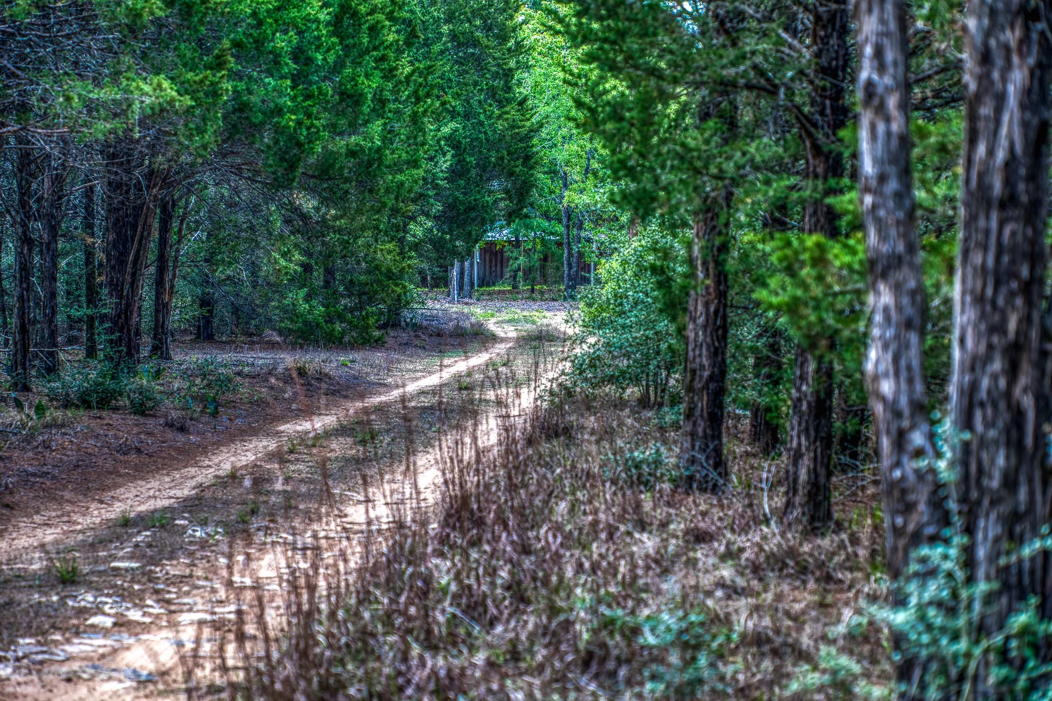 242 Cody Ln, Bastrop, TX 78602