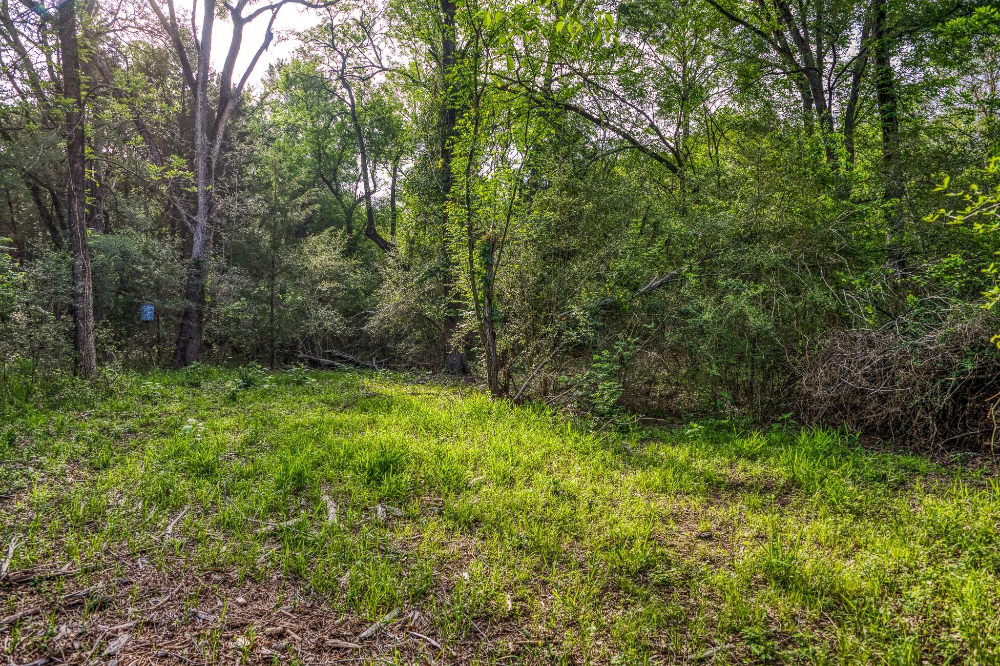 242 Cody Ln, Bastrop, TX 78602