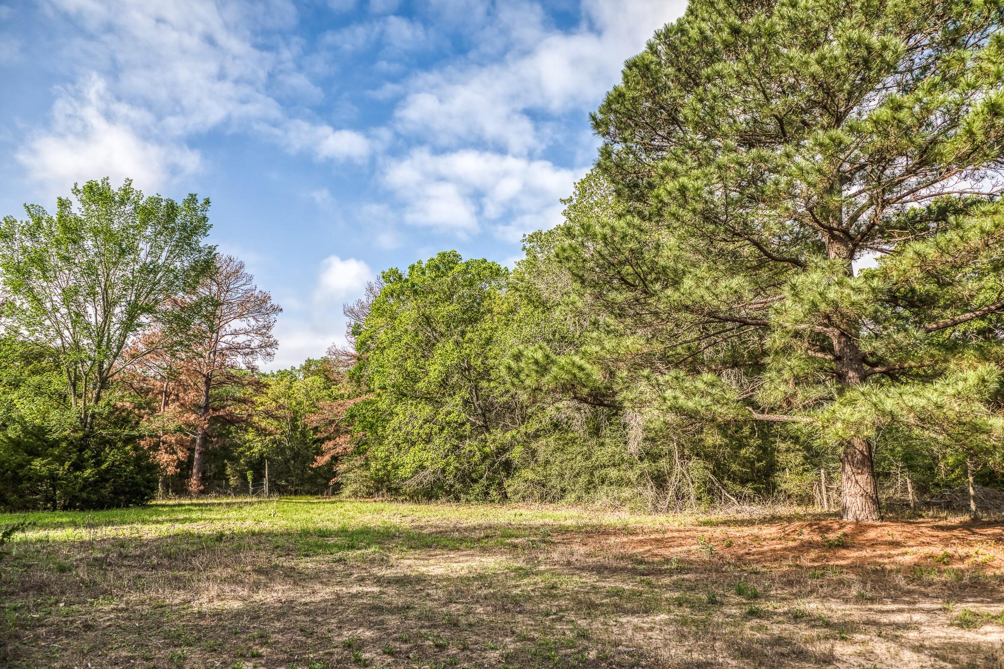 242 Cody Ln, Bastrop, TX 78602