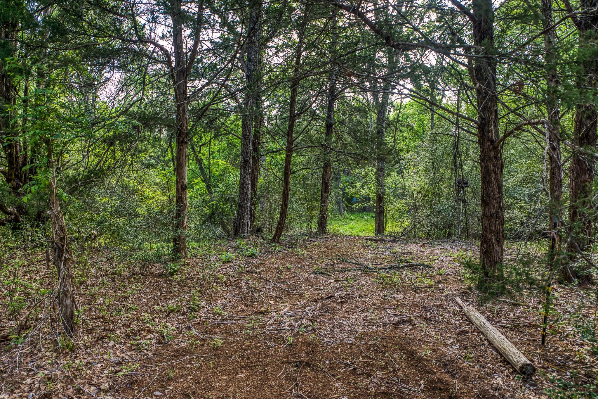 242 Cody Ln, Bastrop, TX 78602