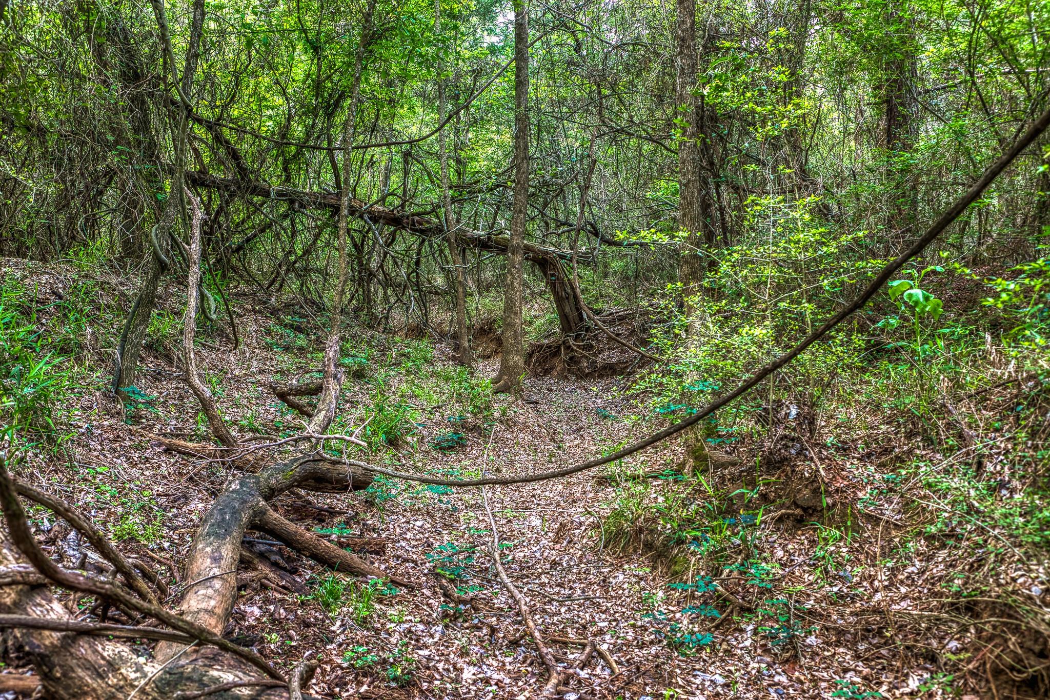 242 Cody Ln, Bastrop, TX 78602