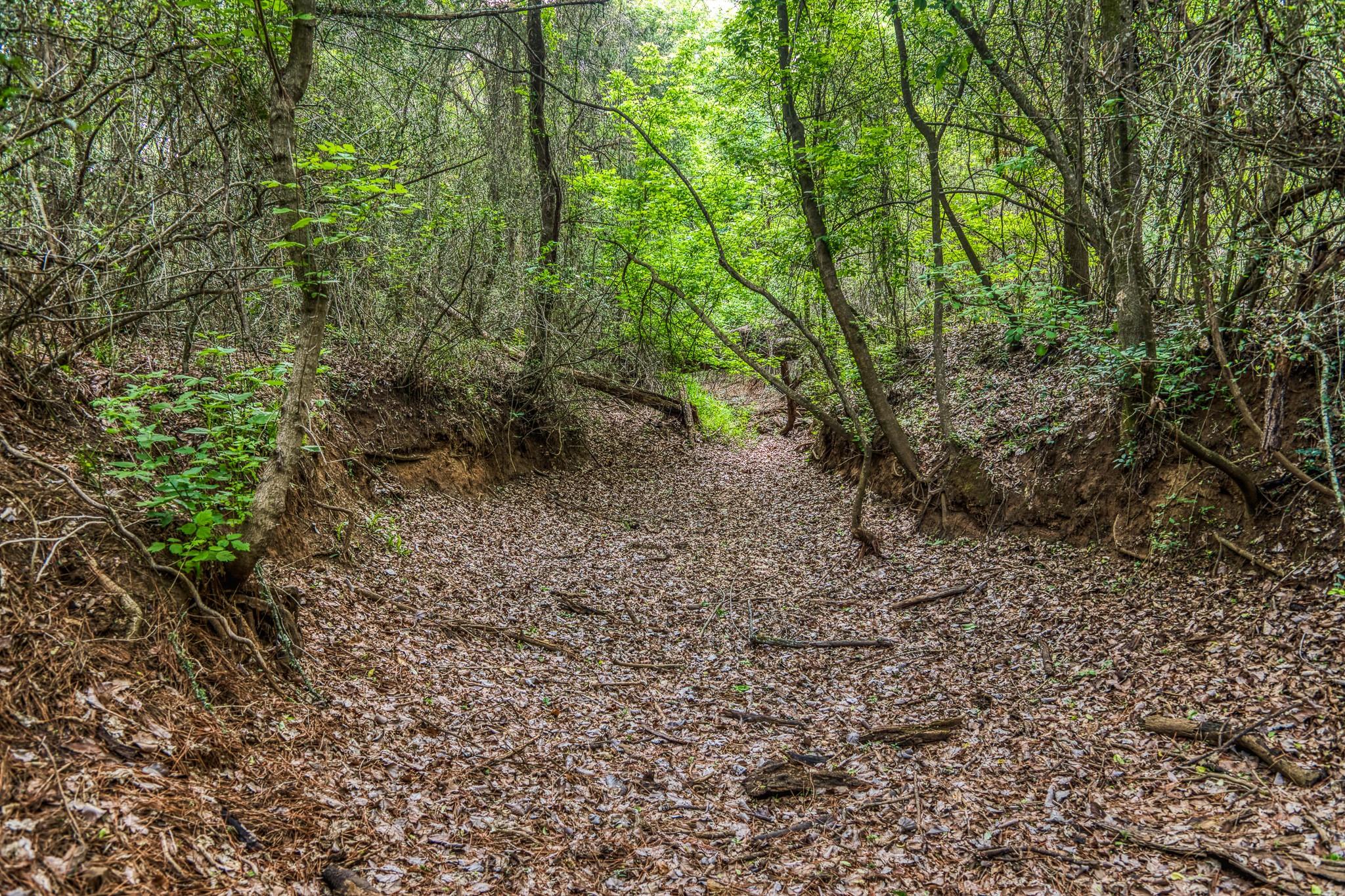 242 Cody Ln, Bastrop, TX 78602