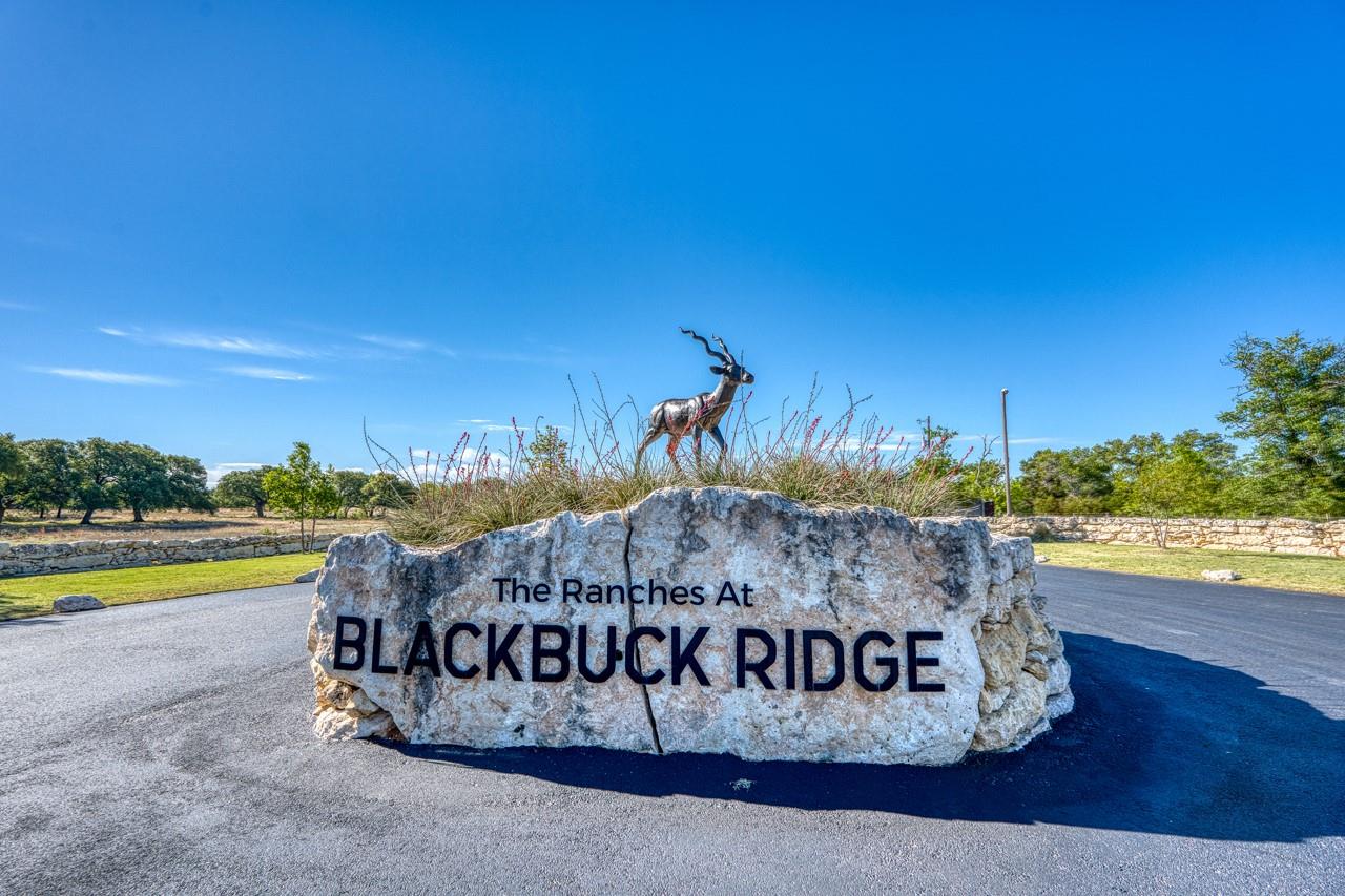 224 Blackbuck Ridge Dr, Lampasas, TX 76550
