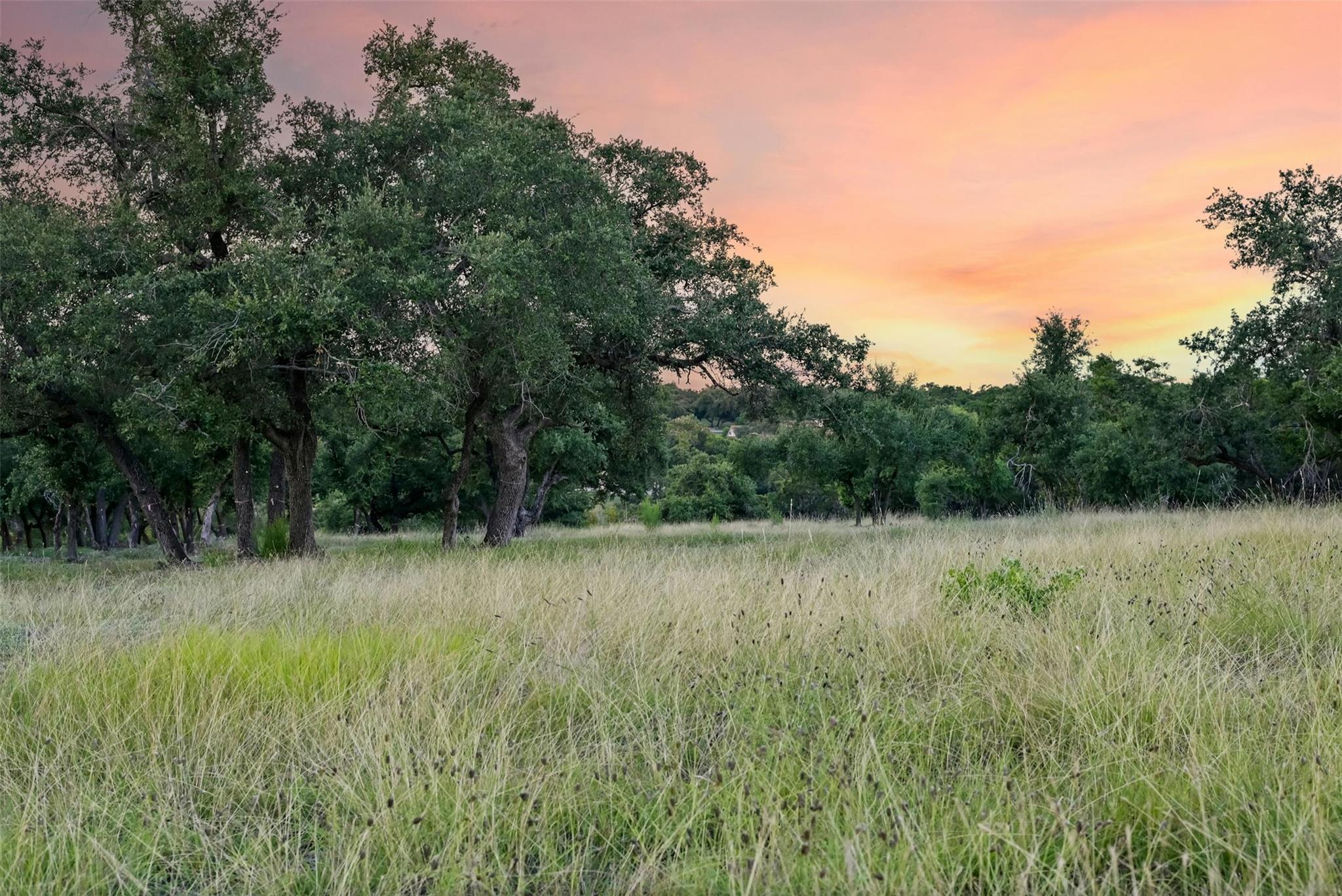 20111 Westlake Pkwy # Lot 1, Georgetown, TX 78628