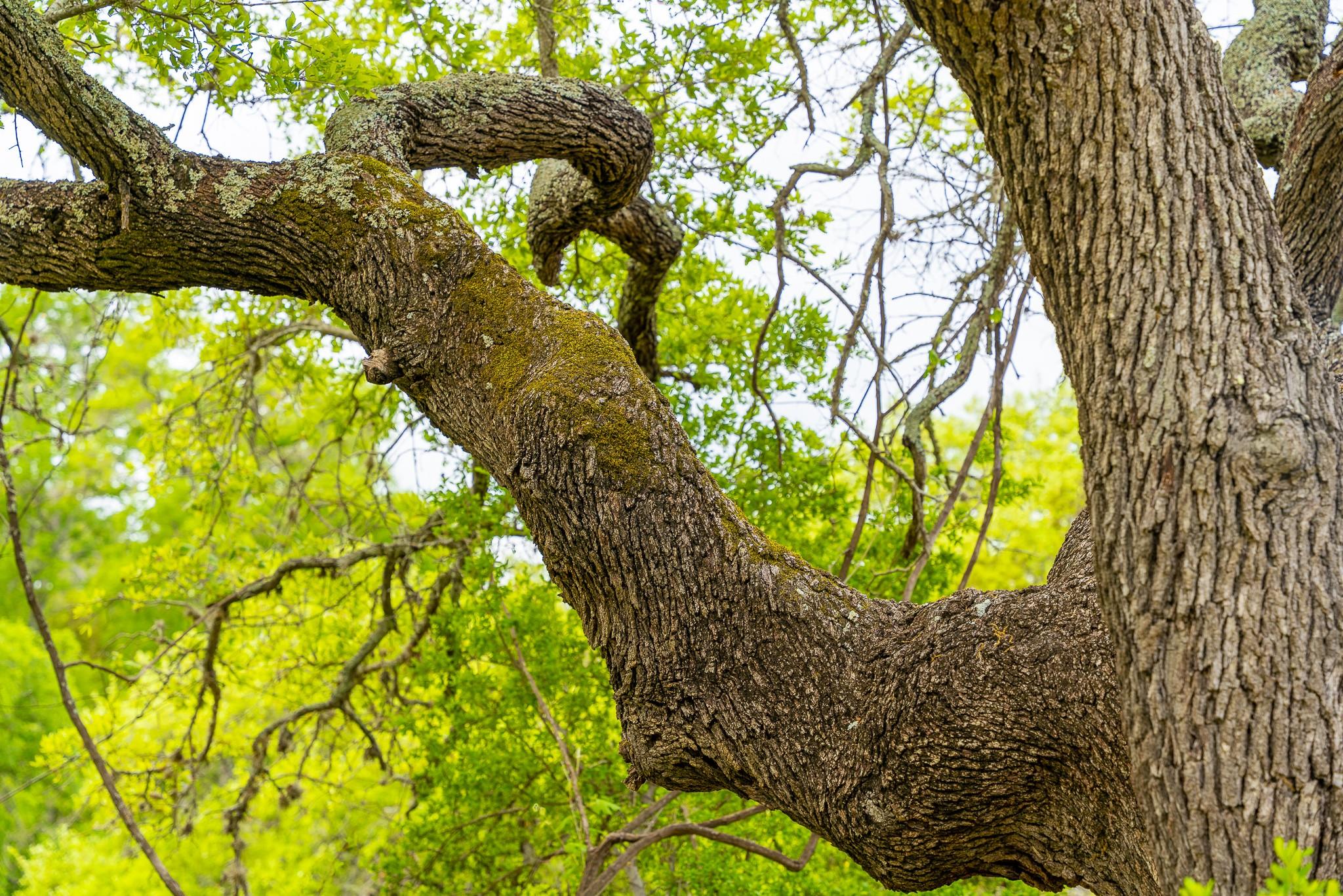 28205 Turner Ranch Rd, Marble Falls, TX 78654