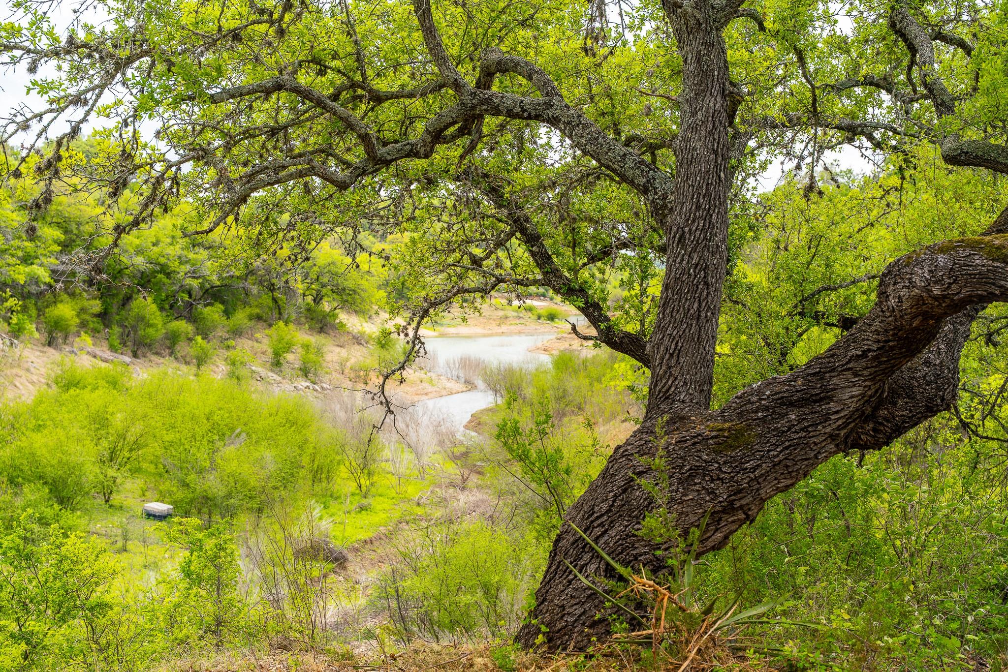 28205 Turner Ranch Rd, Marble Falls, TX 78654