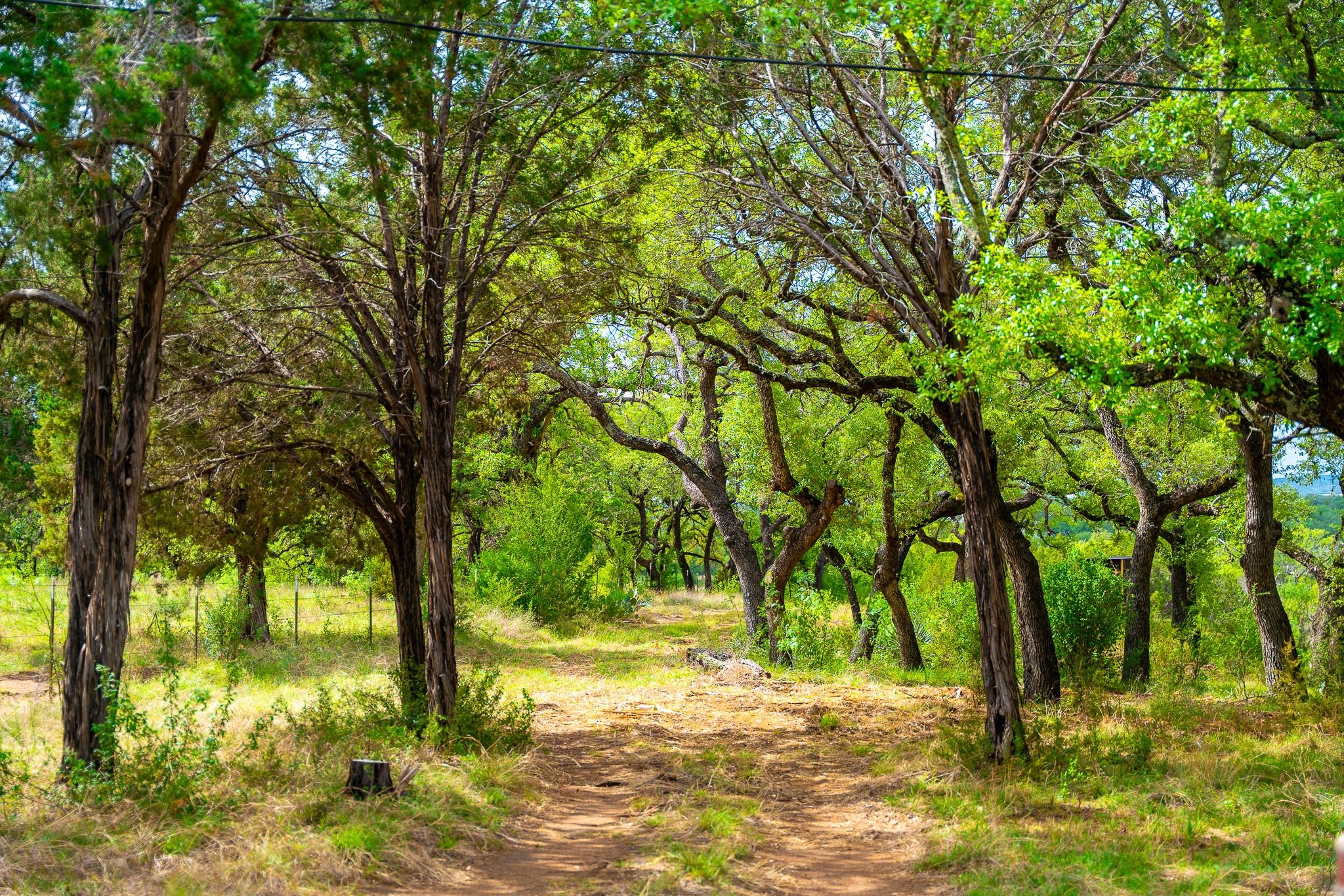 28205 Turner Ranch Rd, Marble Falls, TX 78654