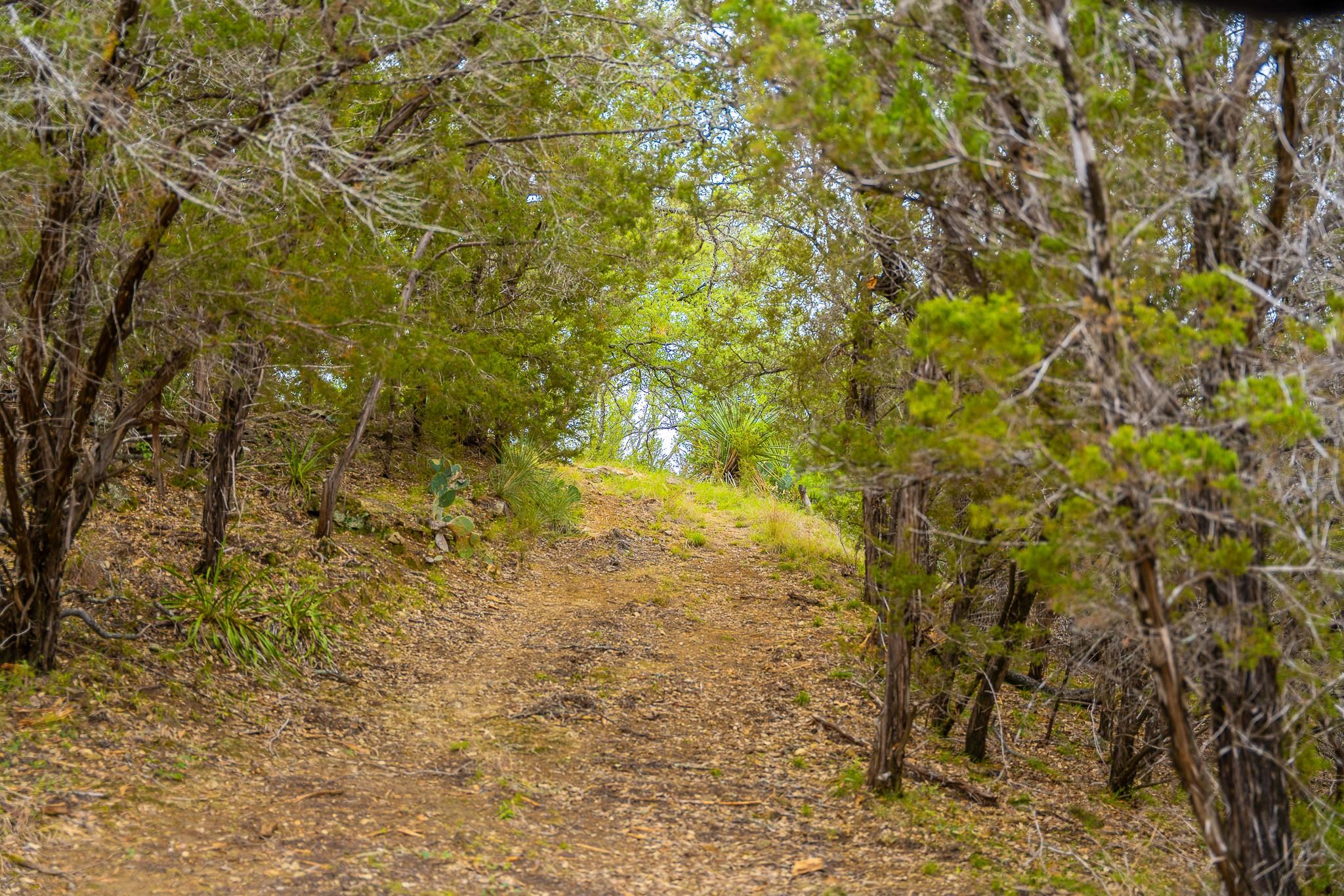 28205 Turner Ranch Rd, Marble Falls, TX 78654