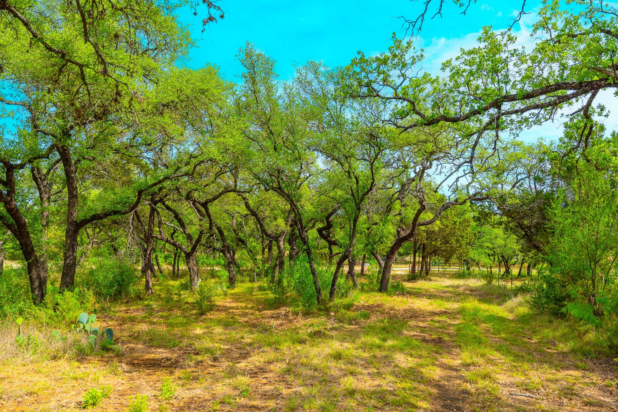 28205 Turner Ranch Rd, Marble Falls, TX 78654