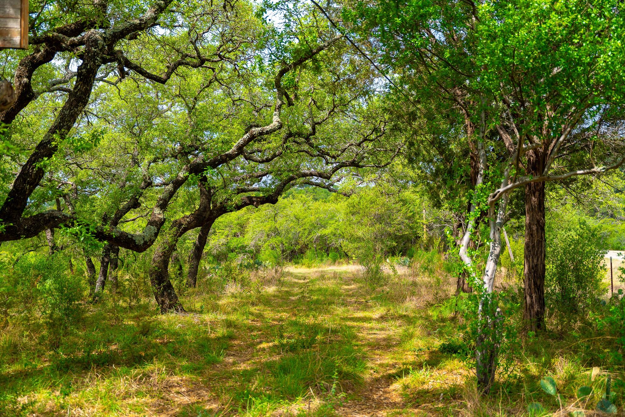 28205 Turner Ranch Rd, Marble Falls, TX 78654