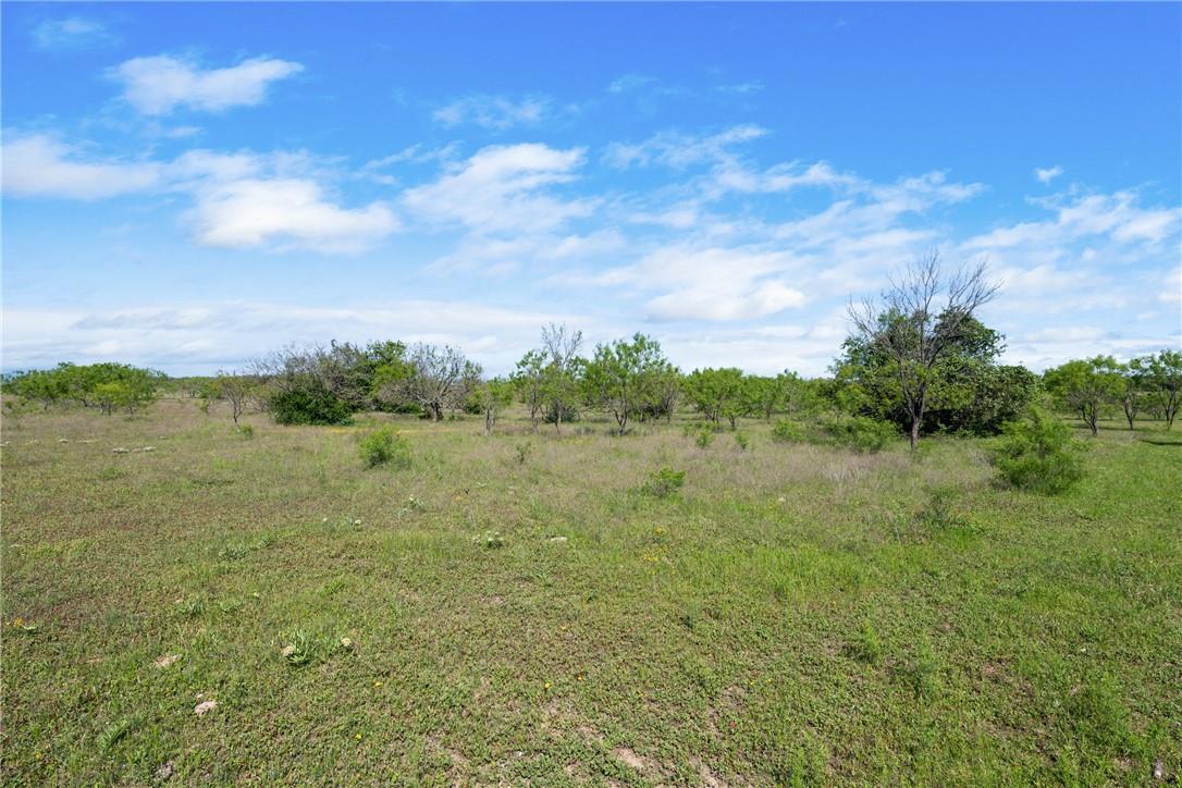 TBD CR 236, Liberty Hill, TX 78605
