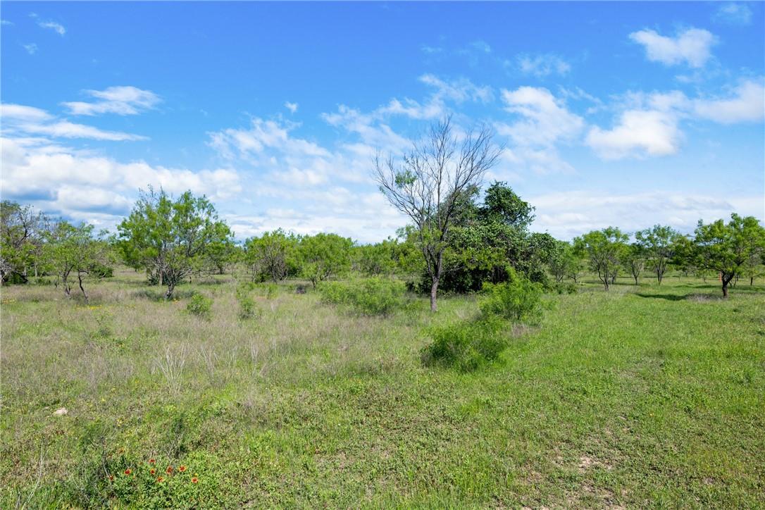 TBD CR 236, Liberty Hill, TX 78605