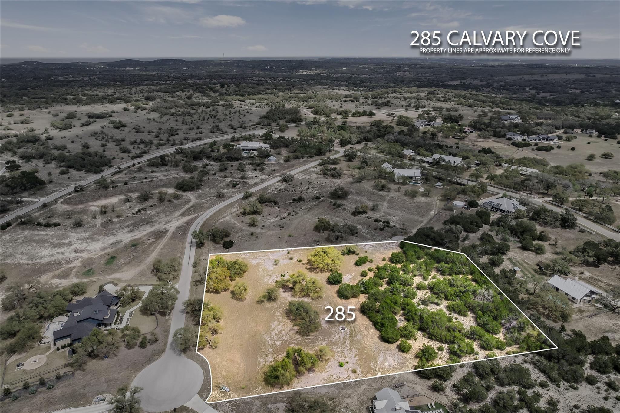 285 Calvary Cv, Dripping Springs, TX 78620