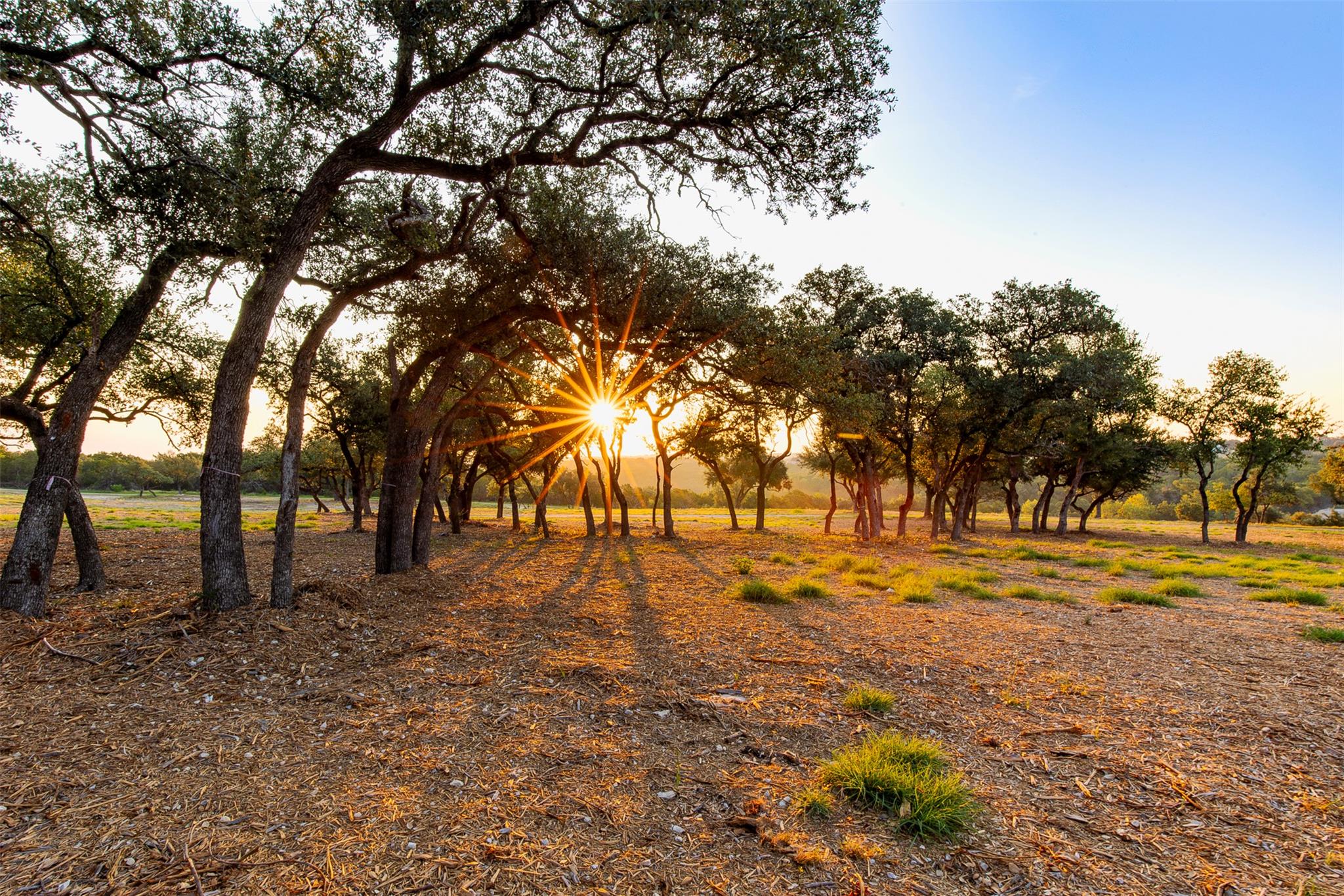 20107 Westlake Pkwy # Lot #3, Georgetown, TX 78628