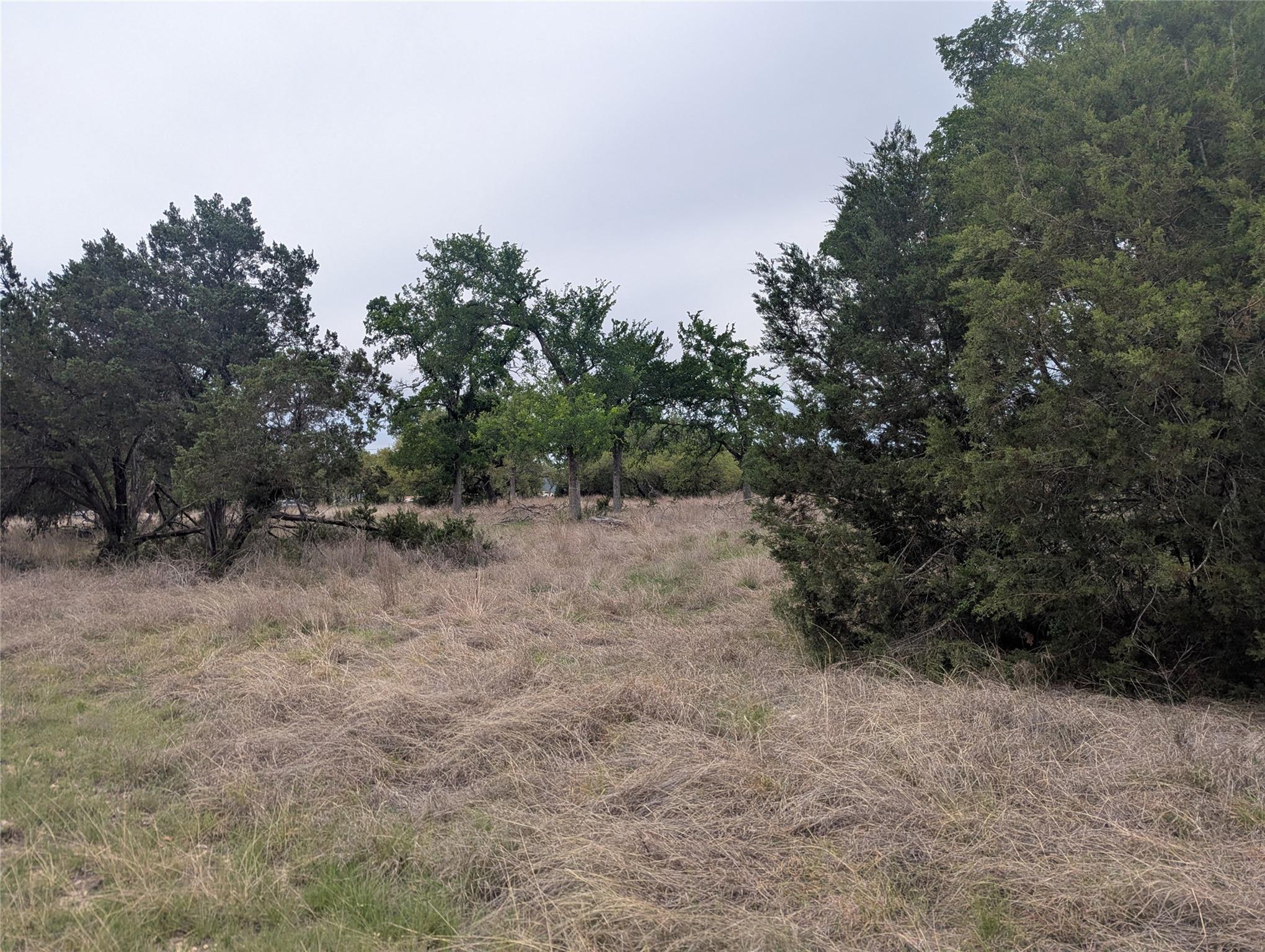 Lot 3 Bell Springs Rd, Dripping Springs, TX 78620