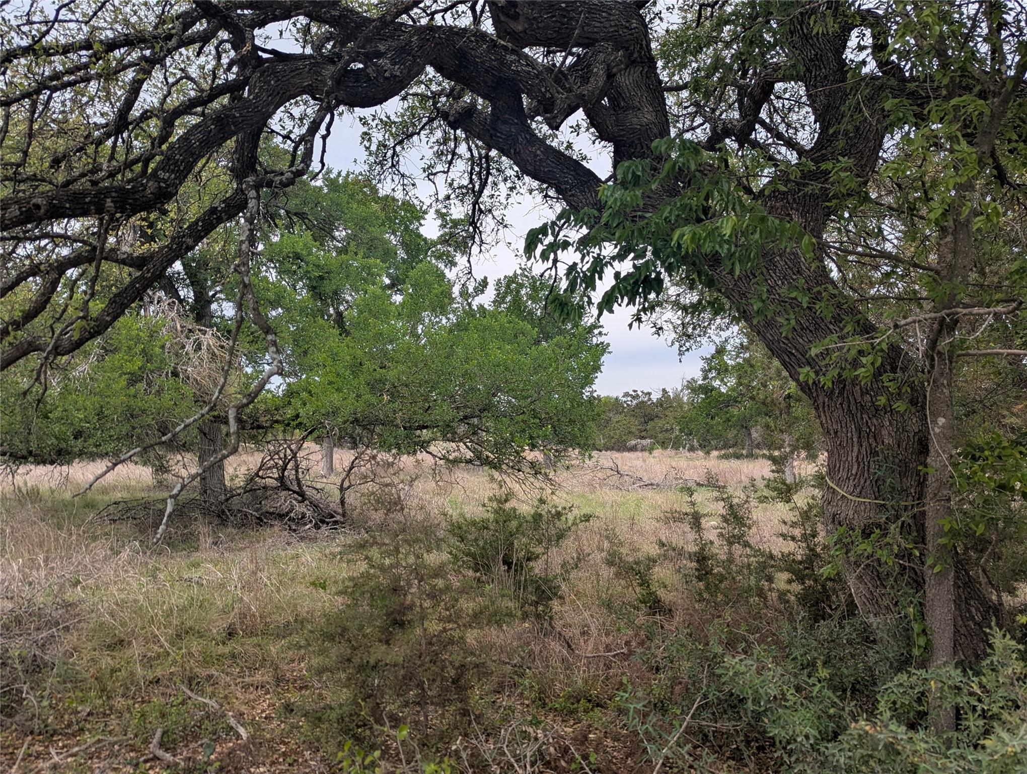 Lot 3 Bell Springs Rd, Dripping Springs, TX 78620