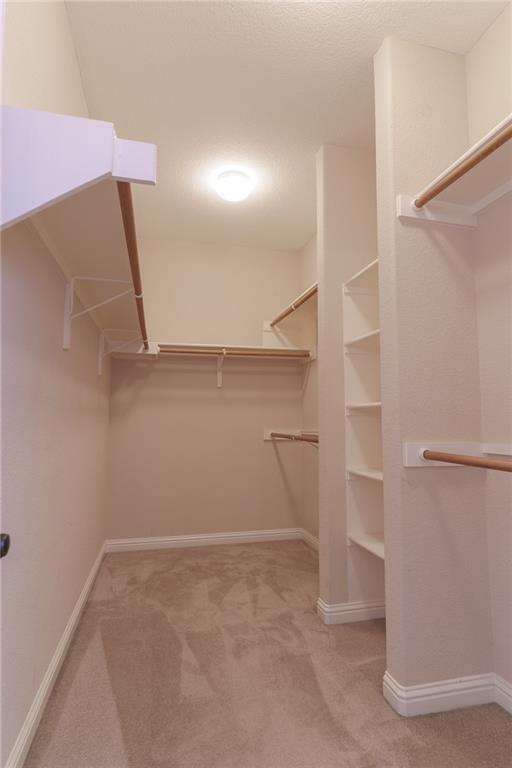 1411 River Birch Way, Pflugerville, TX 78660