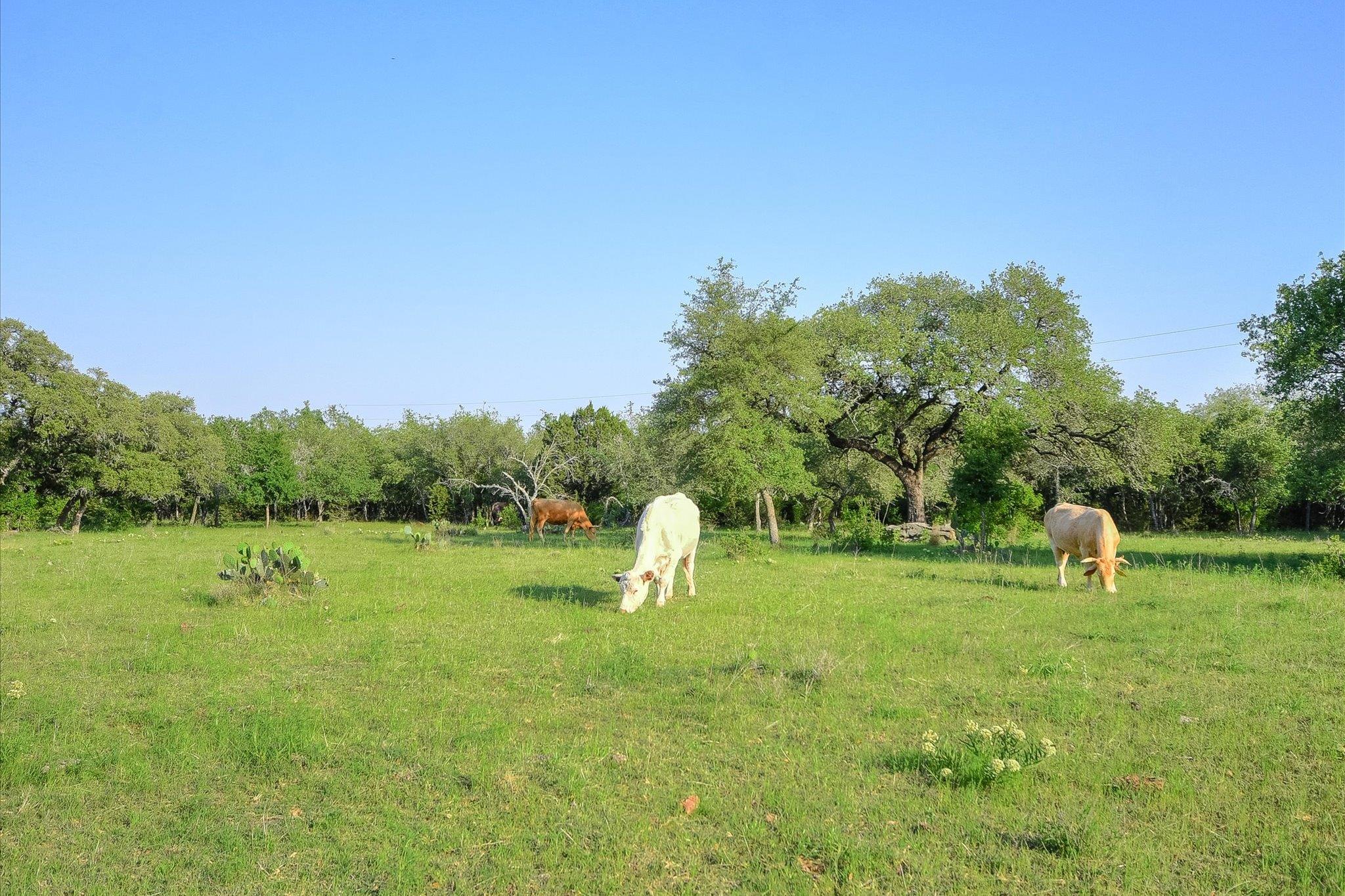 131 HIDDEN Crk, Wimberley, TX 78676