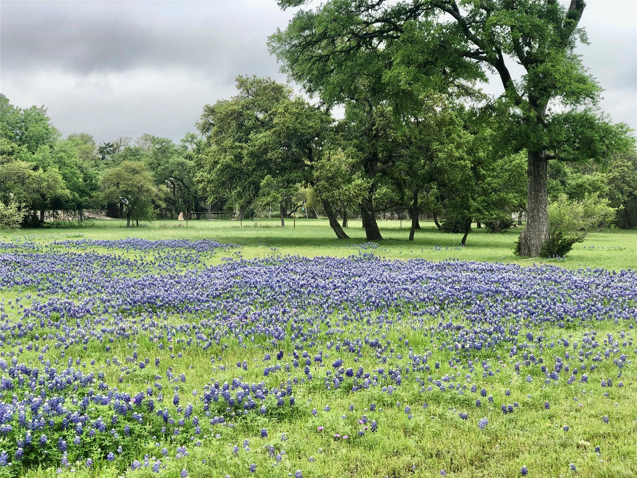 900 Canyonwood Dr, Dripping Springs, TX 78620