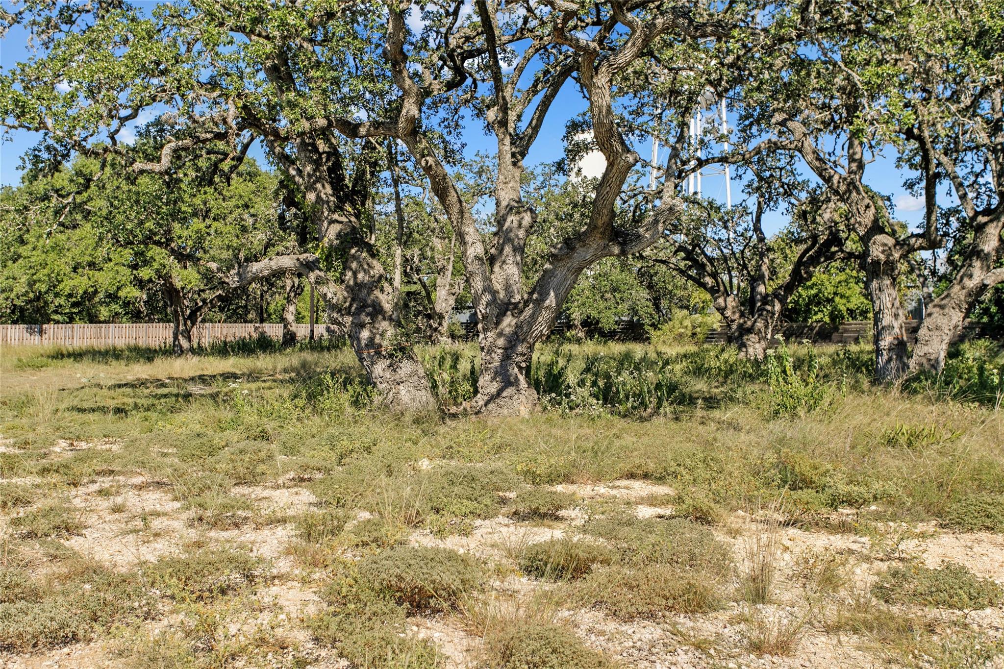 1410 Greenlawn Pkwy, Blanco, TX 78606