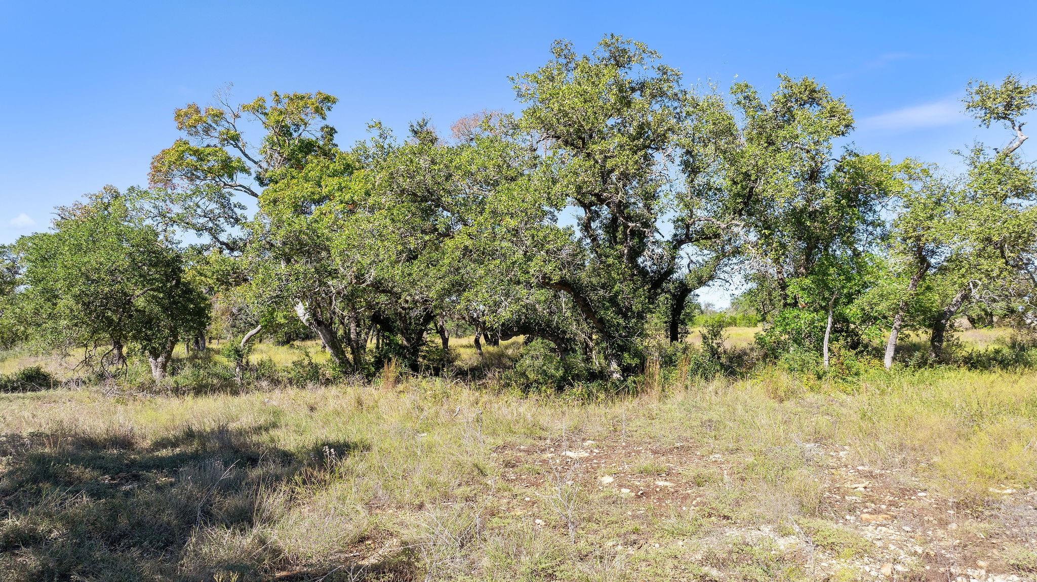 Lot 18 Mesa Ranch Rd, Dripping Springs, TX 78620