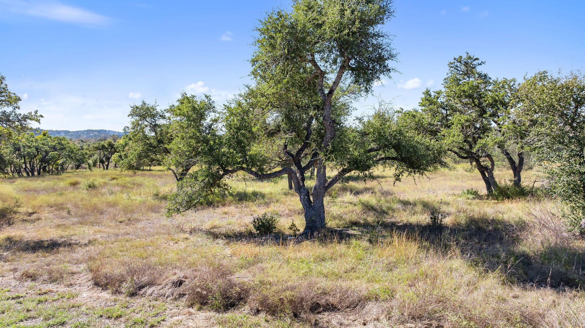 Lot 18 Mesa Ranch Rd, Dripping Springs, TX 78620