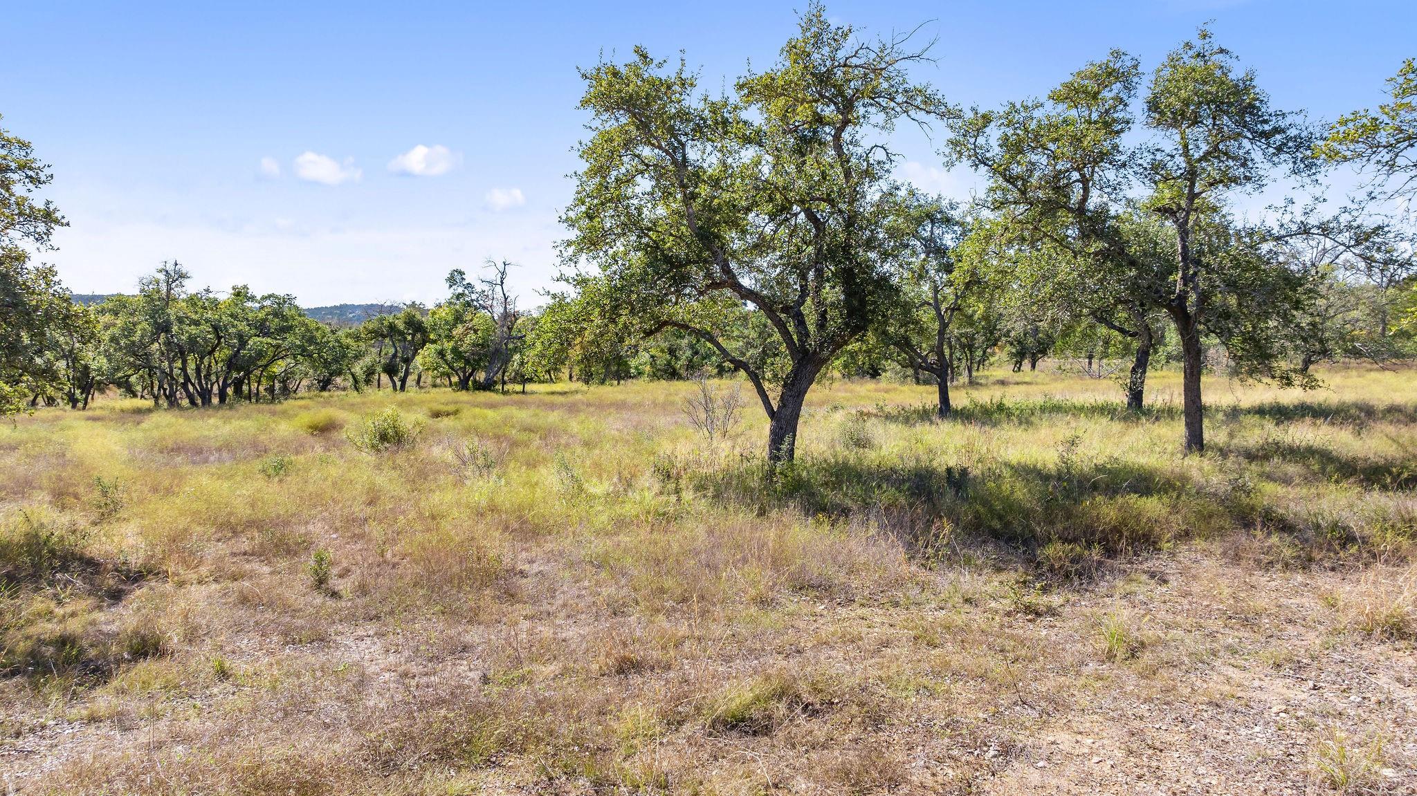 Lot 18 Mesa Ranch Rd, Dripping Springs, TX 78620