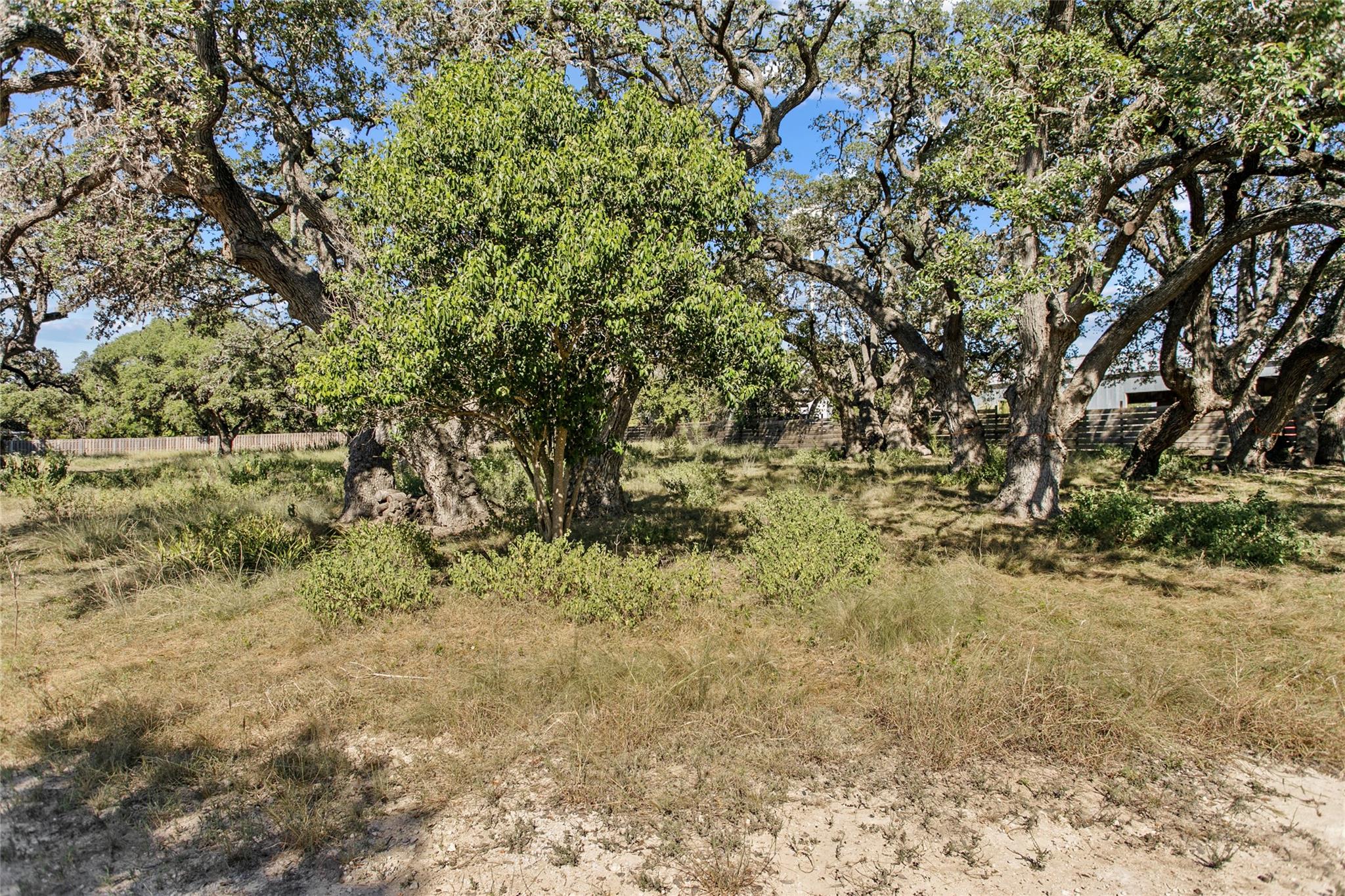 1400 Greenlawn Pkwy, Blanco, TX 78606