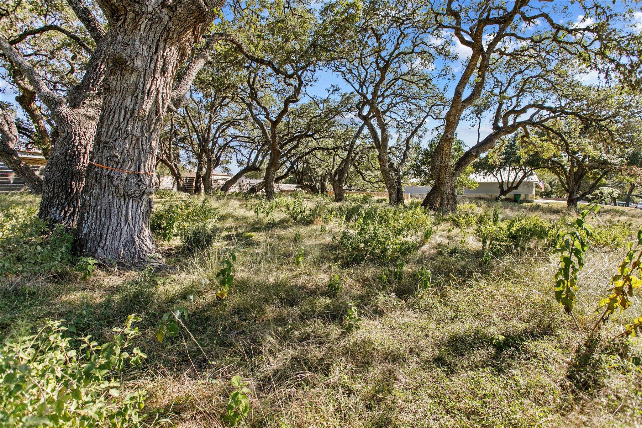 1400 Greenlawn Pkwy, Blanco, TX 78606