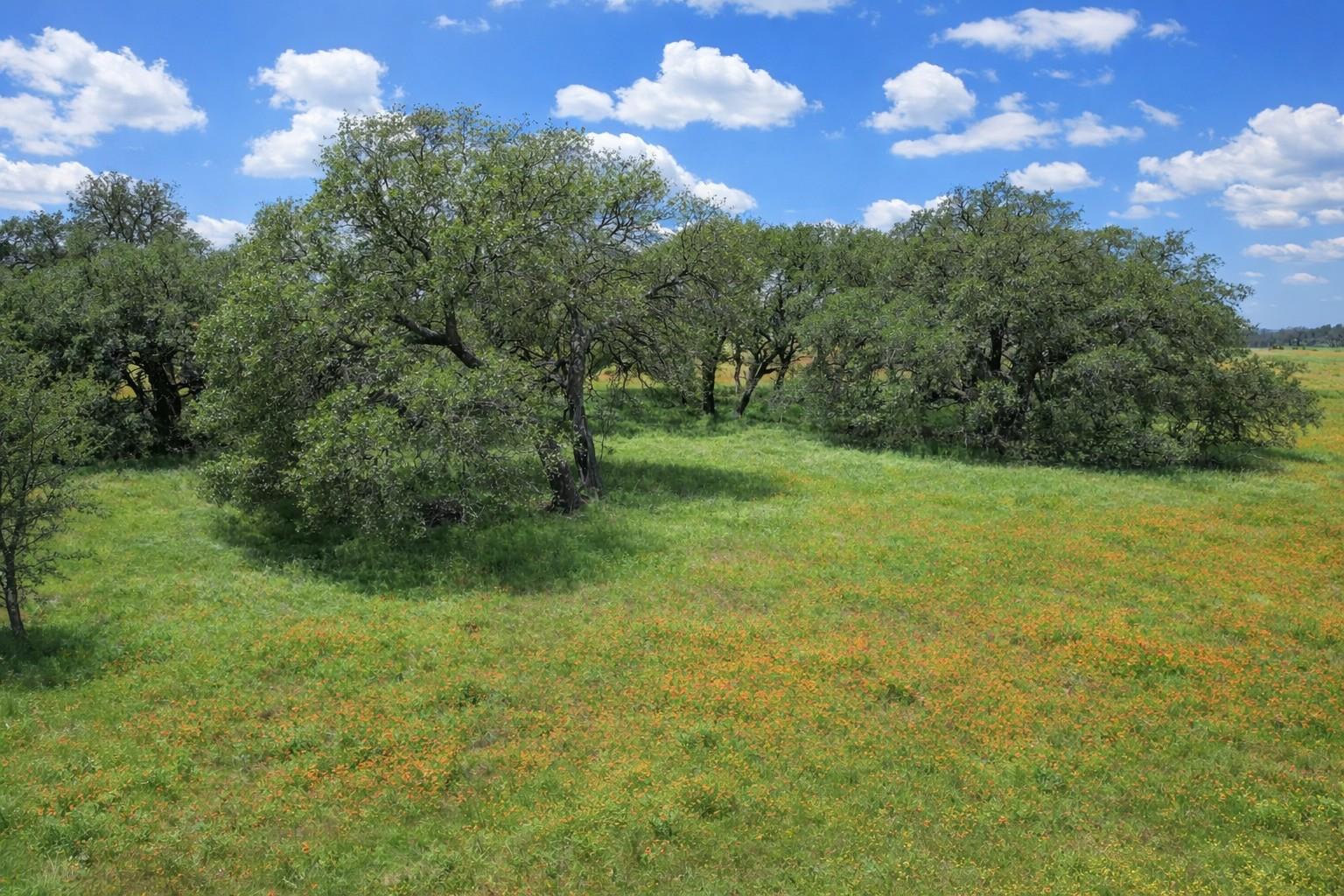 TBD CR 103, Lampasas, TX 76550