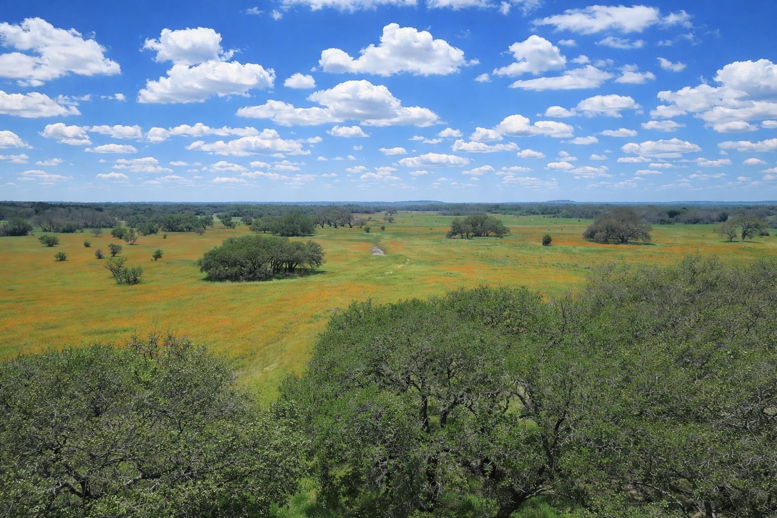 TBD CR 103, Lampasas, TX 76550
