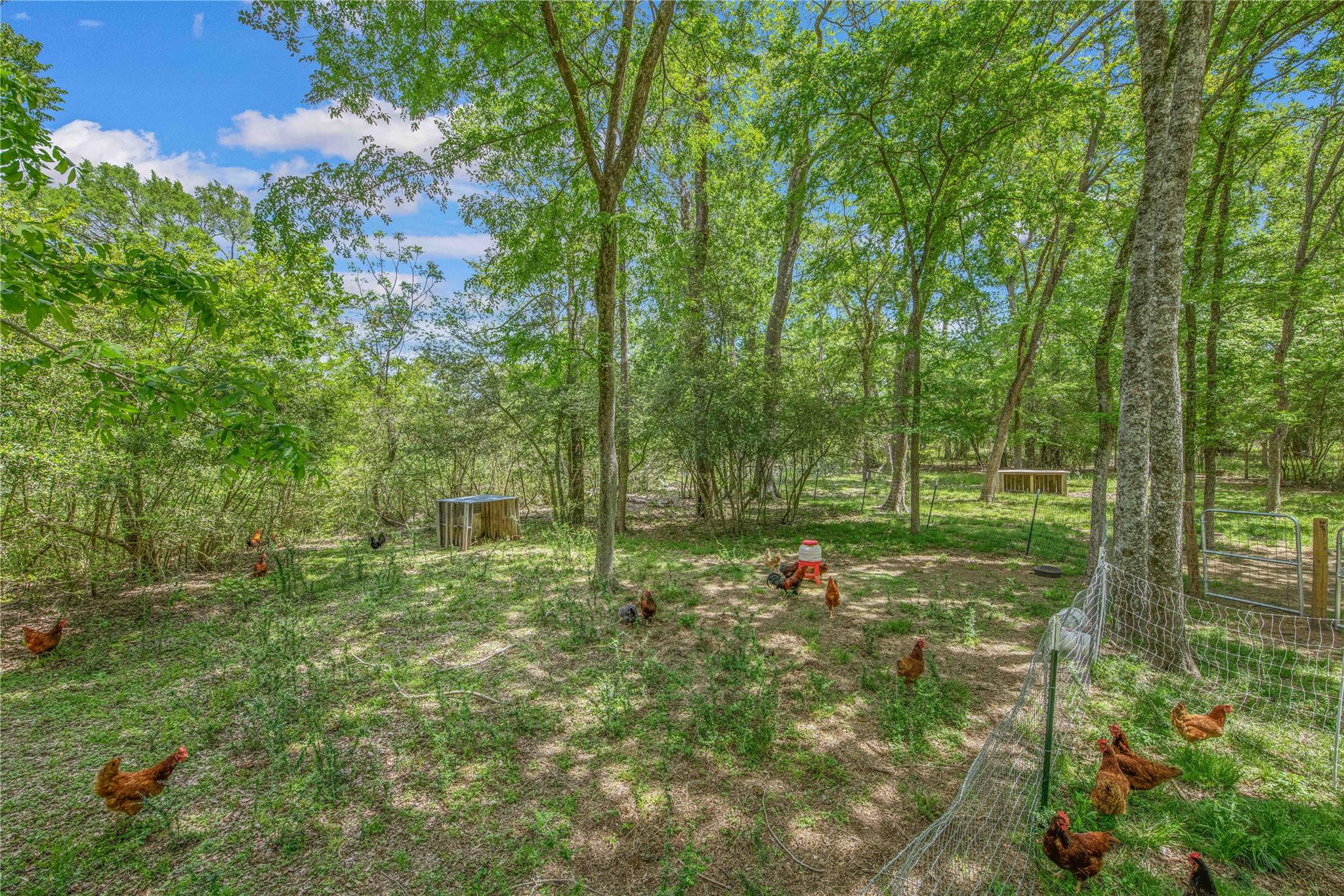 4855 Austins Creek Dr, Bryan, TX 77808