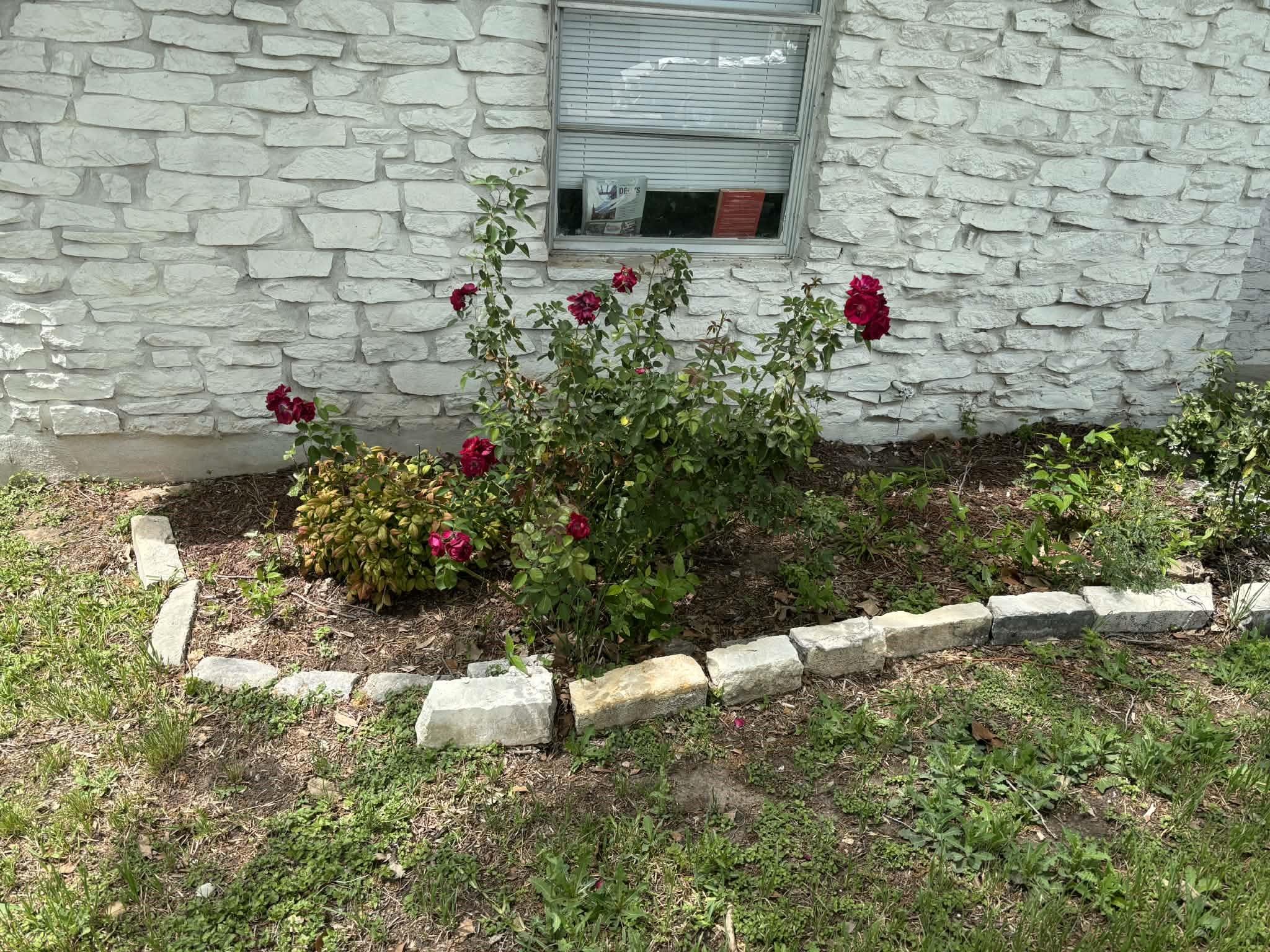 9104 Glenn Ln, Austin, TX 78753