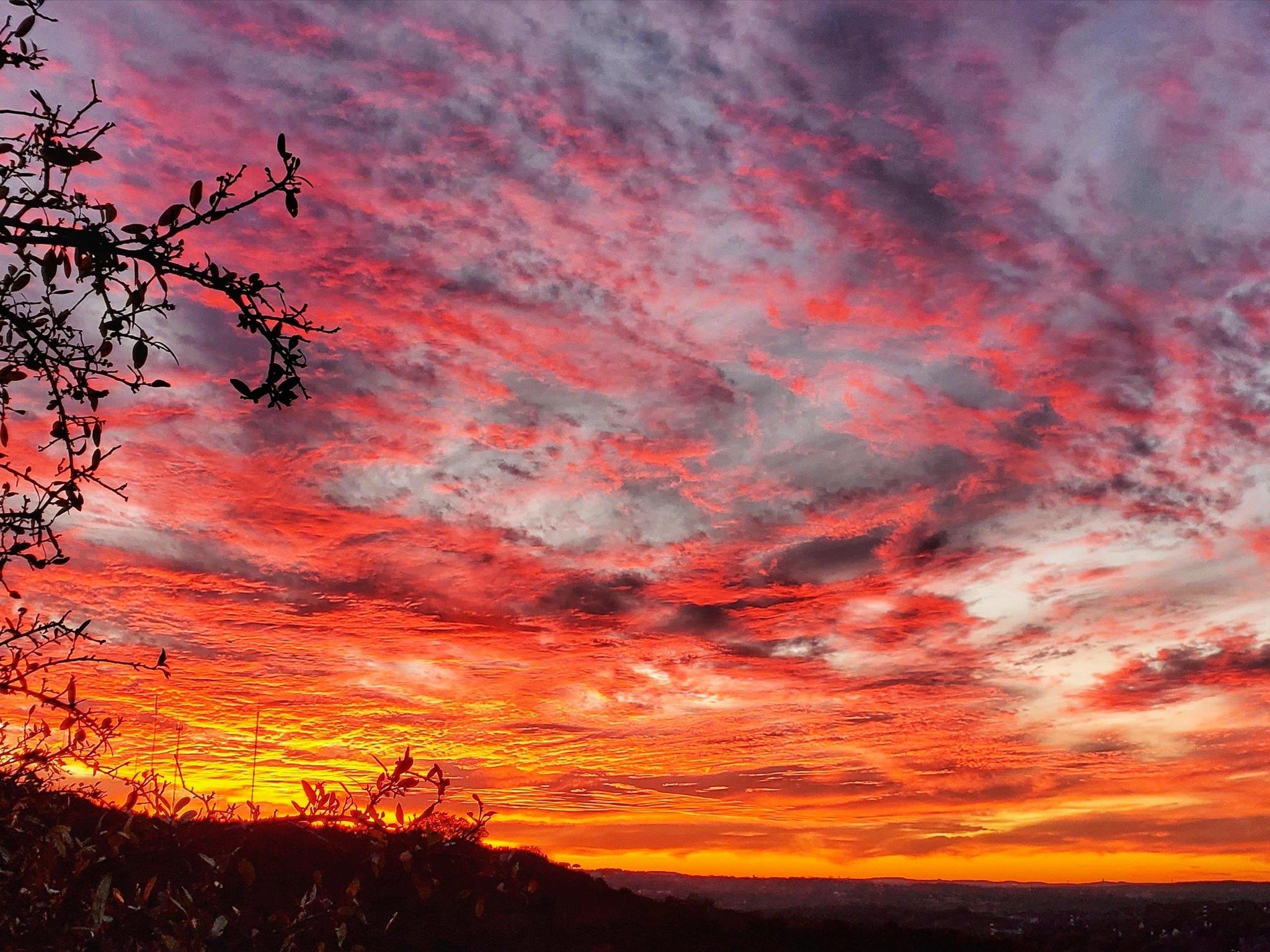 5603 Oakwood Cv # 212, Austin, TX 78731