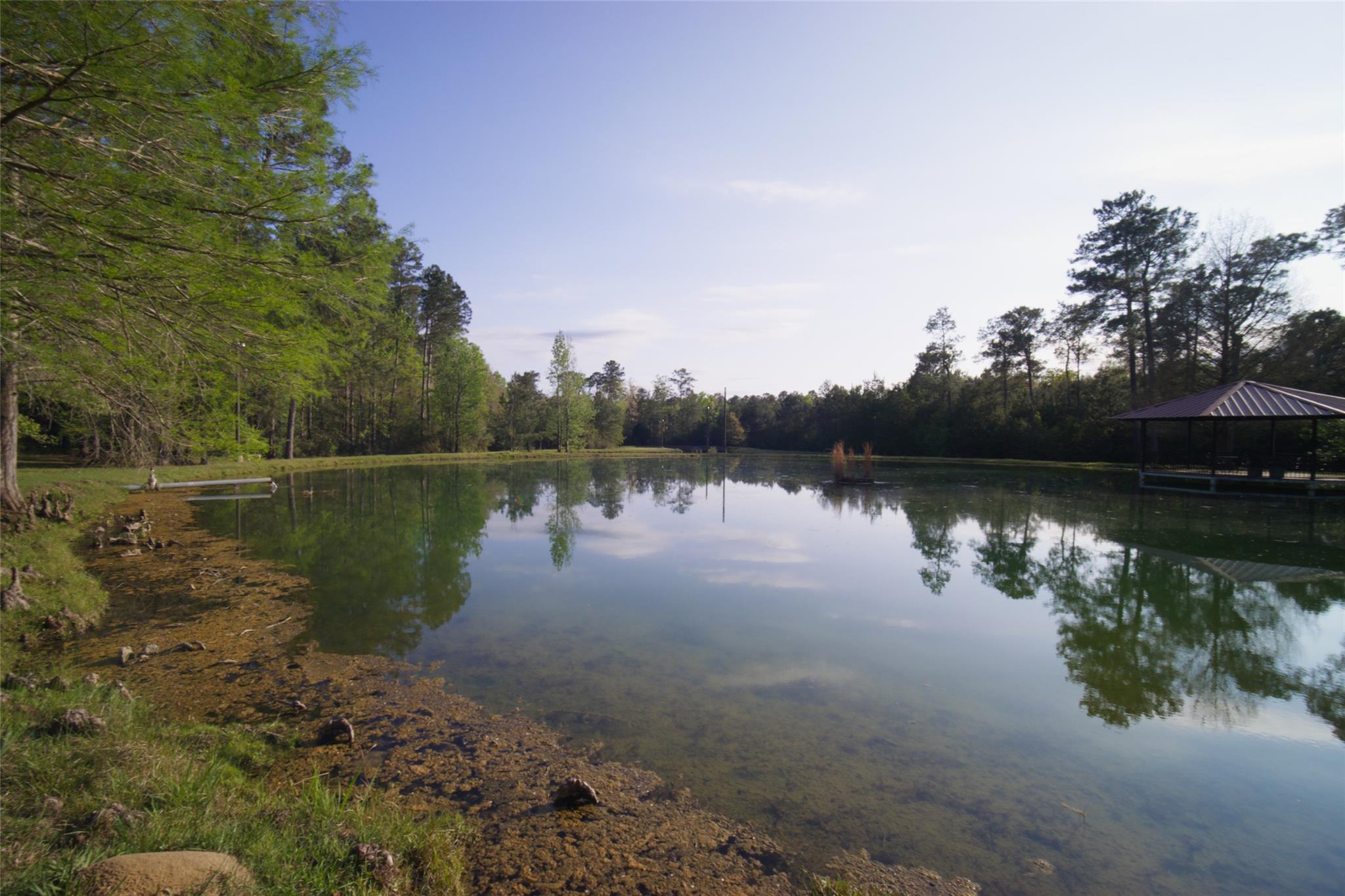 1815 Fm 82, Newton, TX 75956